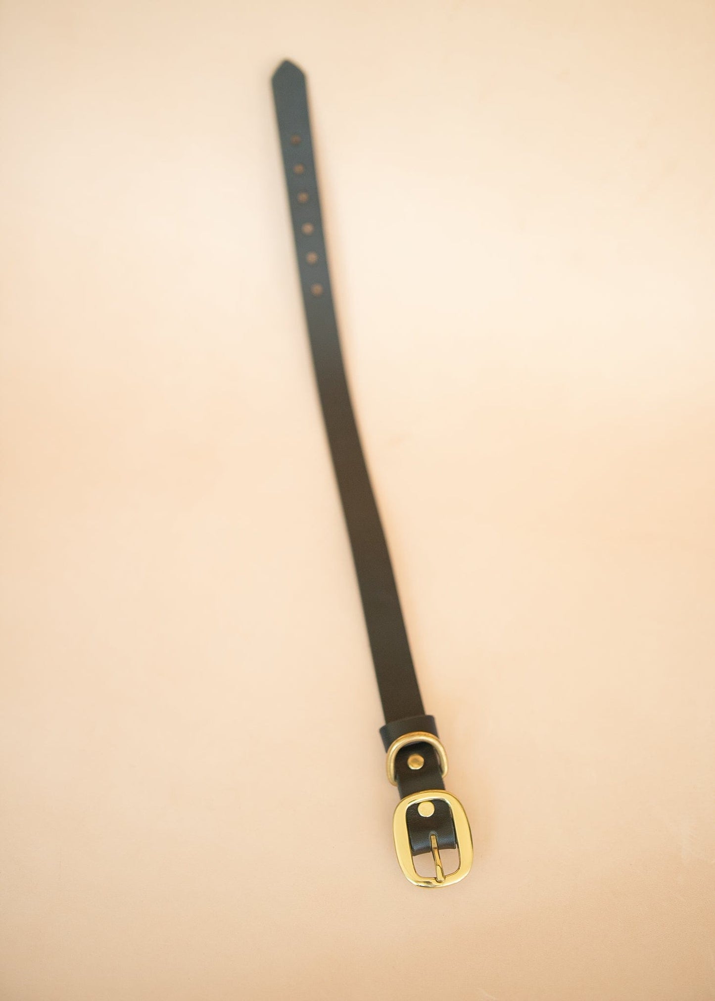 The Real McCaul Leathergoods Pet Collars & Harnesses Classic Dog Collar - 25mm - Black Australian Made Australian Owned Leather Dog Collar with Brass Fittings- Australian Made