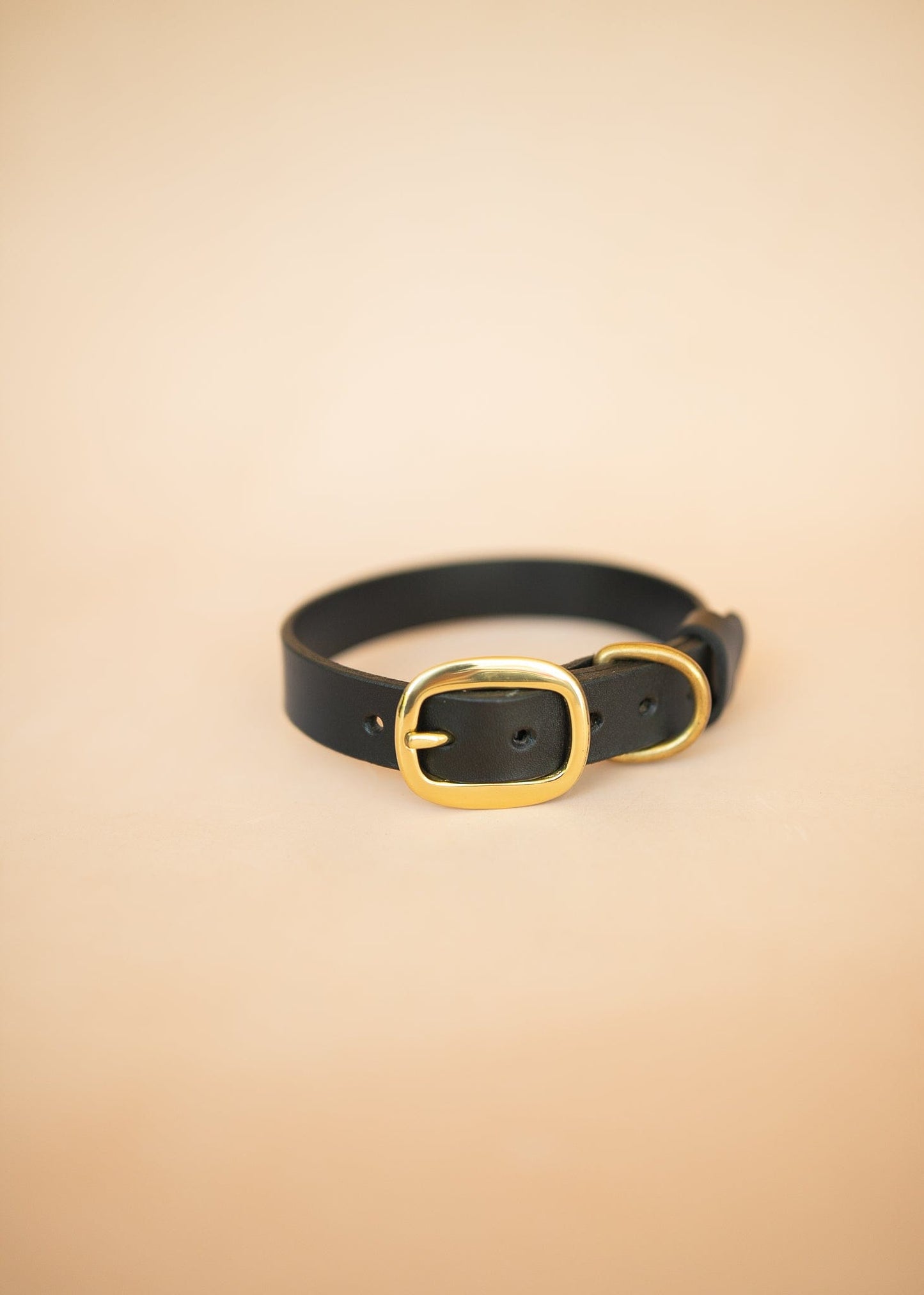 The Real McCaul Leathergoods Pet Collars & Harnesses Classic Dog Collar - 25mm - Black Australian Made Australian Owned Leather Dog Collar with Brass Fittings- Australian Made
