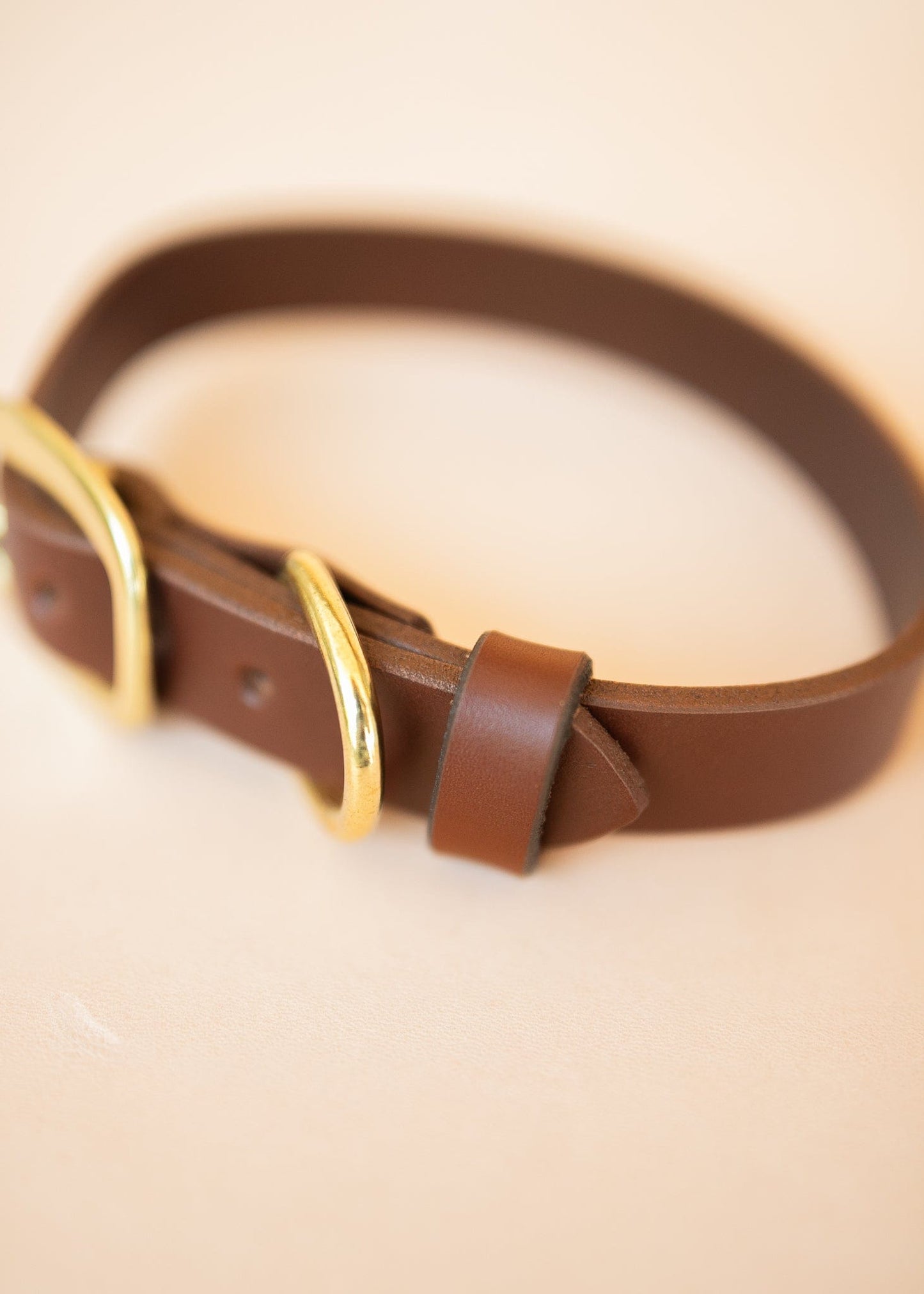 The Real McCaul Leathergoods Pet Collars & Harnesses Classic Dog Collar - 25mm - Burgundy Australian Made Australian Owned Leather Dog Collar with Brass Fittings- Australian Made