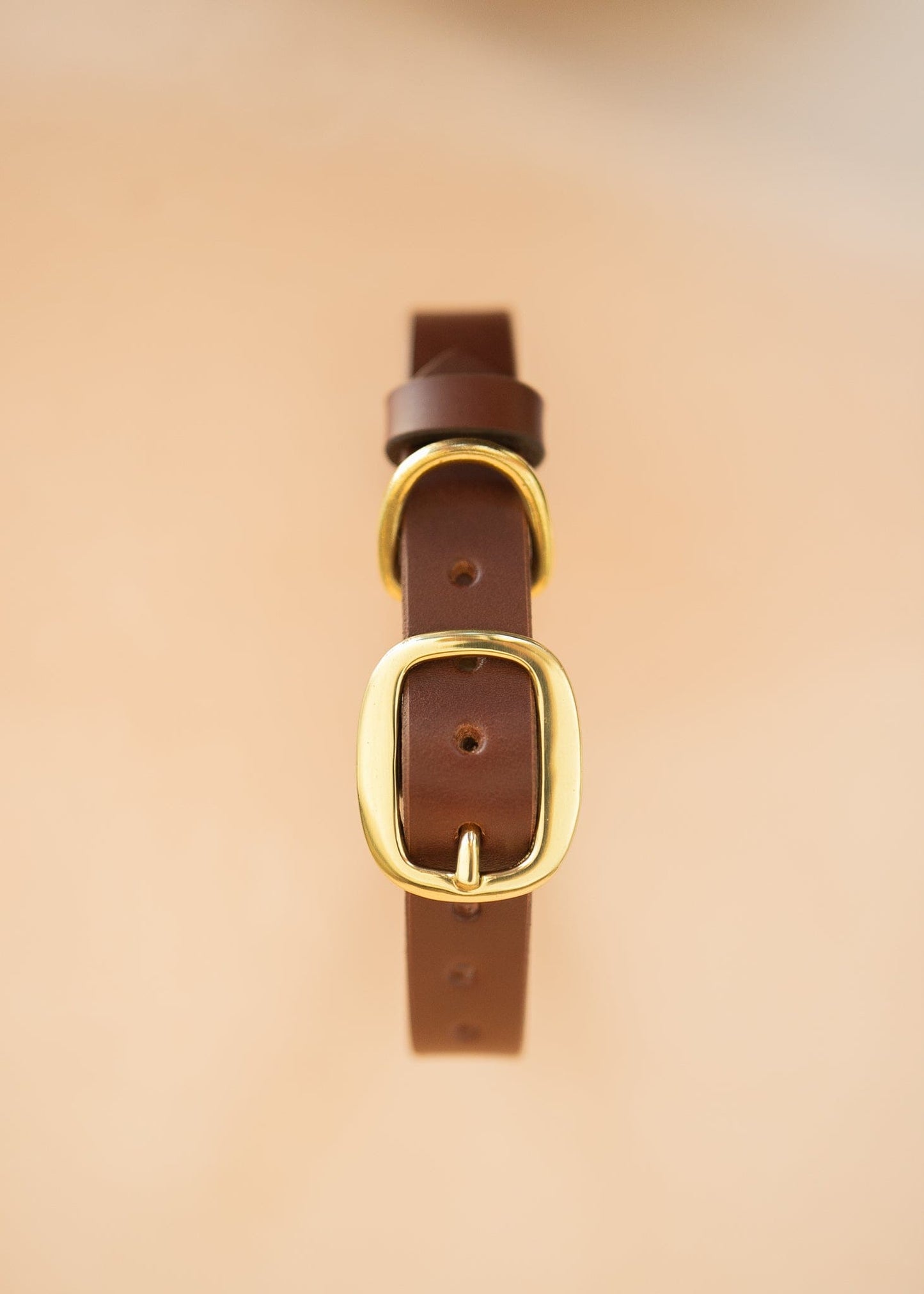 The Real McCaul Leathergoods Pet Collars & Harnesses Classic Dog Collar - 25mm - Burgundy Australian Made Australian Owned Leather Dog Collar with Brass Fittings- Australian Made