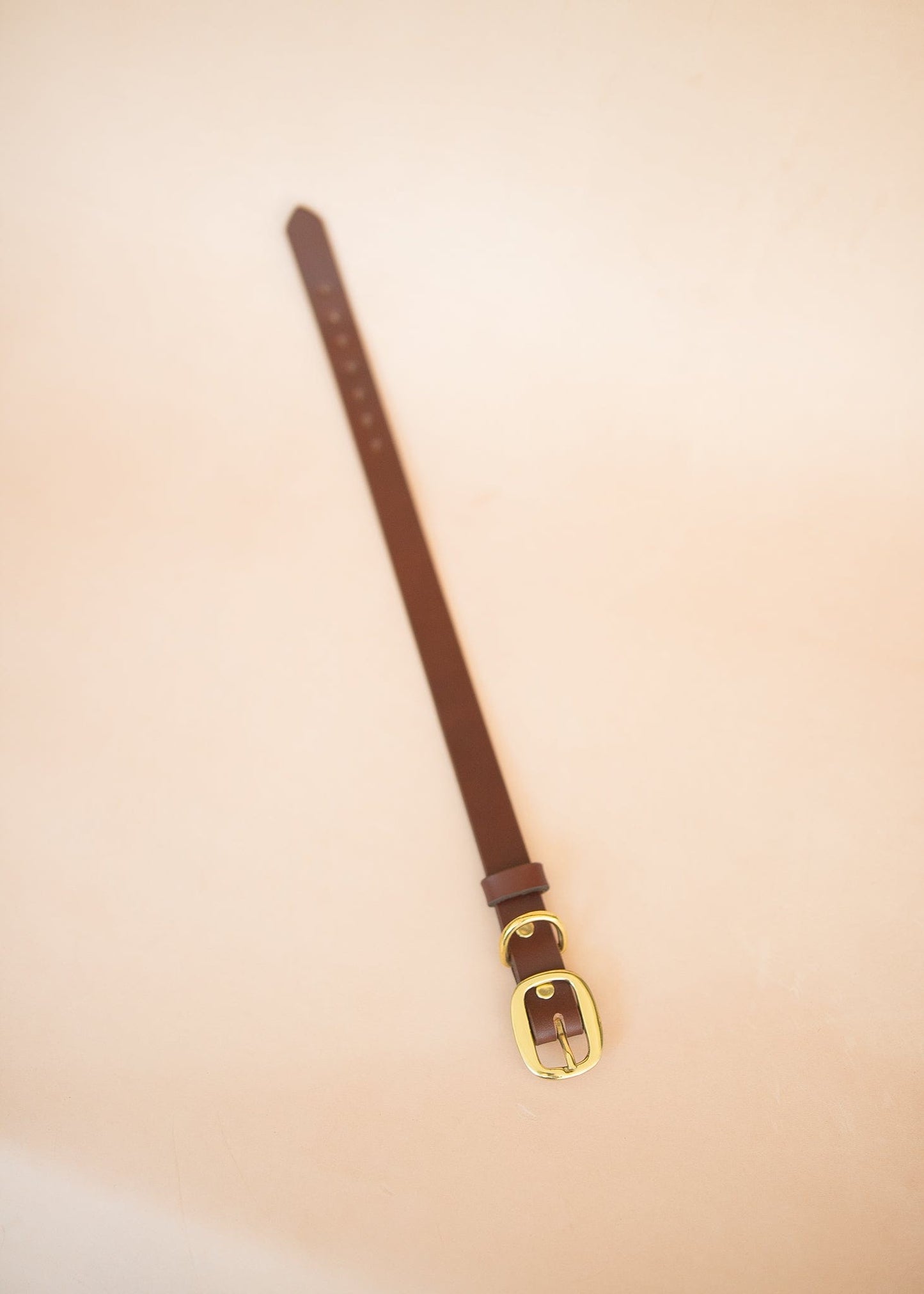 The Real McCaul Leathergoods Pet Collars & Harnesses Classic Dog Collar - 25mm - Burgundy Australian Made Australian Owned Leather Dog Collar with Brass Fittings- Australian Made