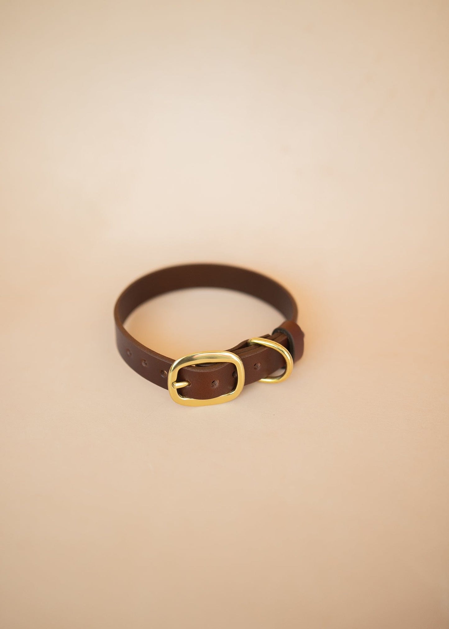 The Real McCaul Leathergoods Pet Collars & Harnesses Classic Dog Collar - 25mm - Burgundy Australian Made Australian Owned Leather Dog Collar with Brass Fittings- Australian Made