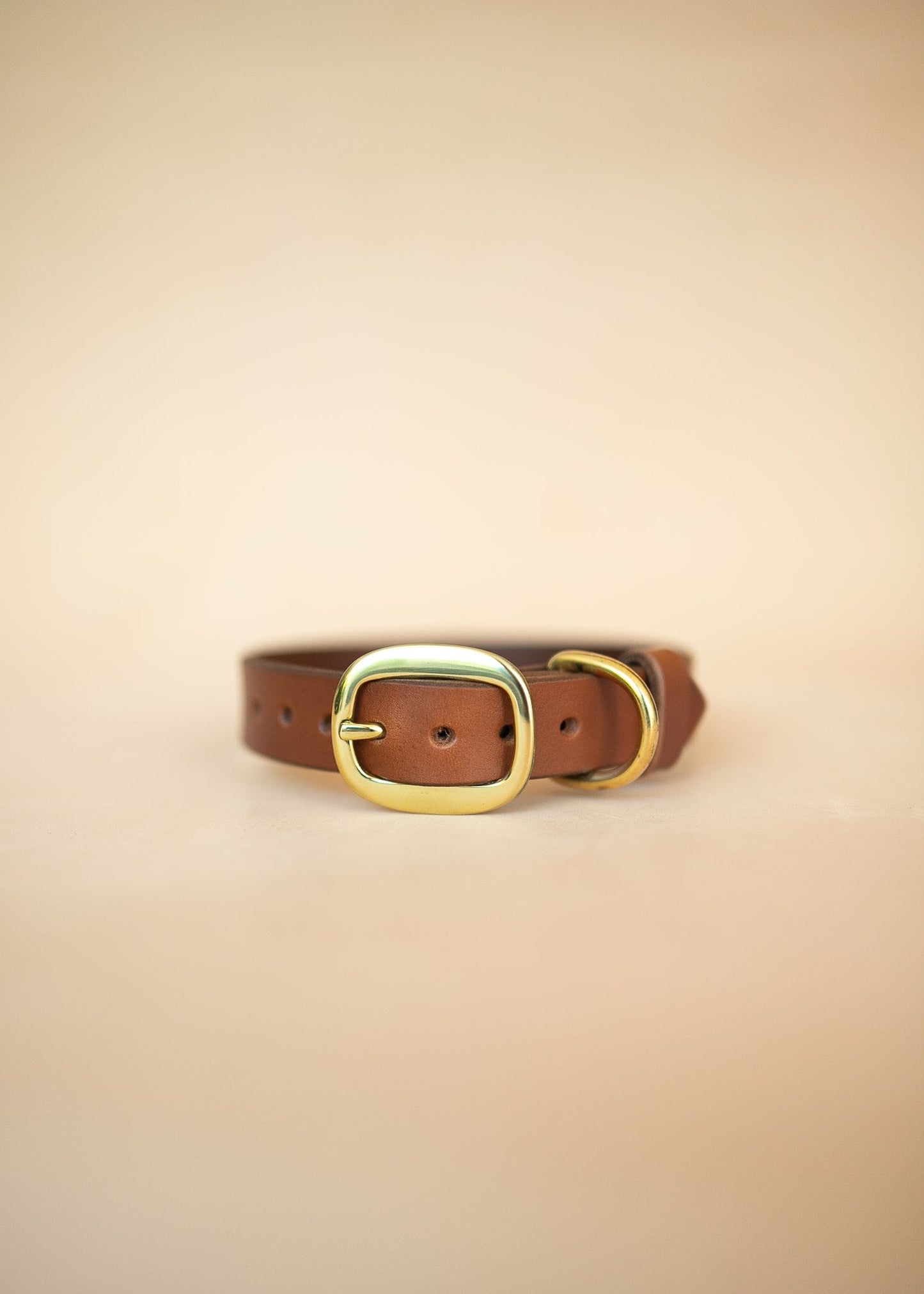 The Real McCaul Leathergoods Pet Collars & Harnesses Classic Dog Collar - 25mm - Tan Australian Made Australian Owned Leather Dog Collar with Brass Fittings- Australian Made