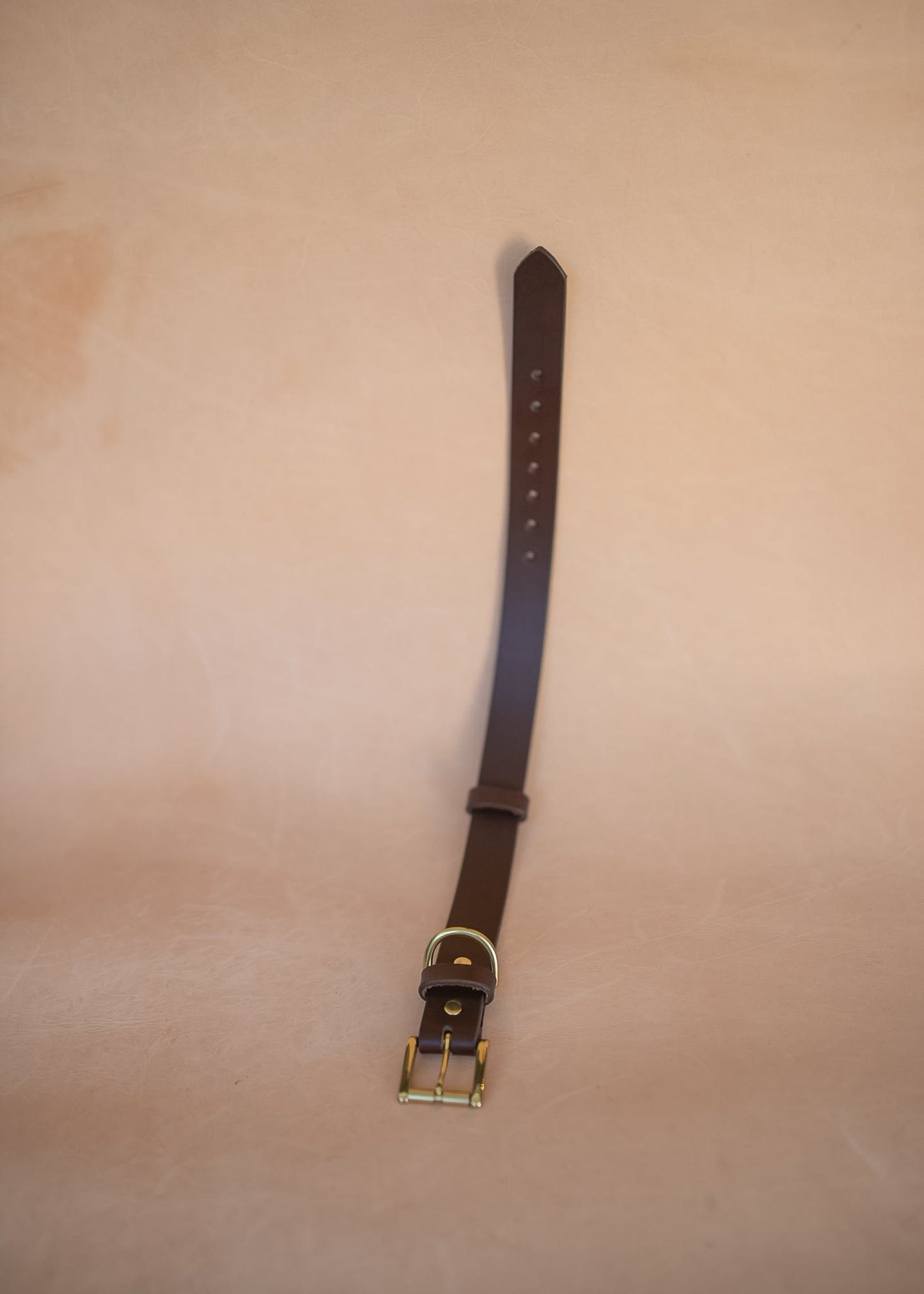The Real McCaul Leathergoods Pet Collars & Harnesses Classic Dog Collar - 30mm - Burgundy Australian Made Australian Owned Leather Dog Collar with Brass Fittings- Australian Made