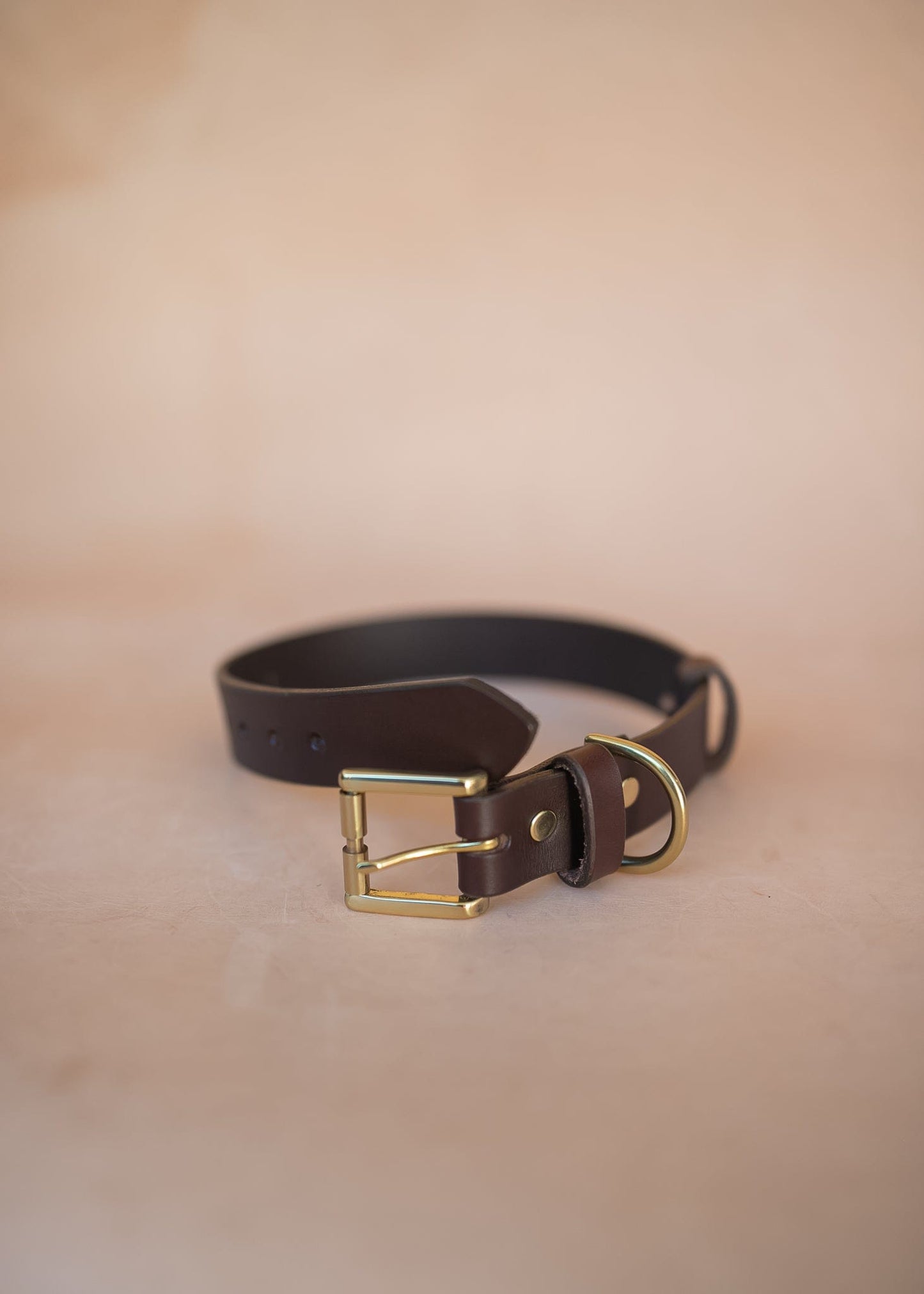 The Real McCaul Leathergoods Pet Collars & Harnesses Classic Dog Collar - 30mm - Burgundy Australian Made Australian Owned Leather Dog Collar with Brass Fittings- Australian Made