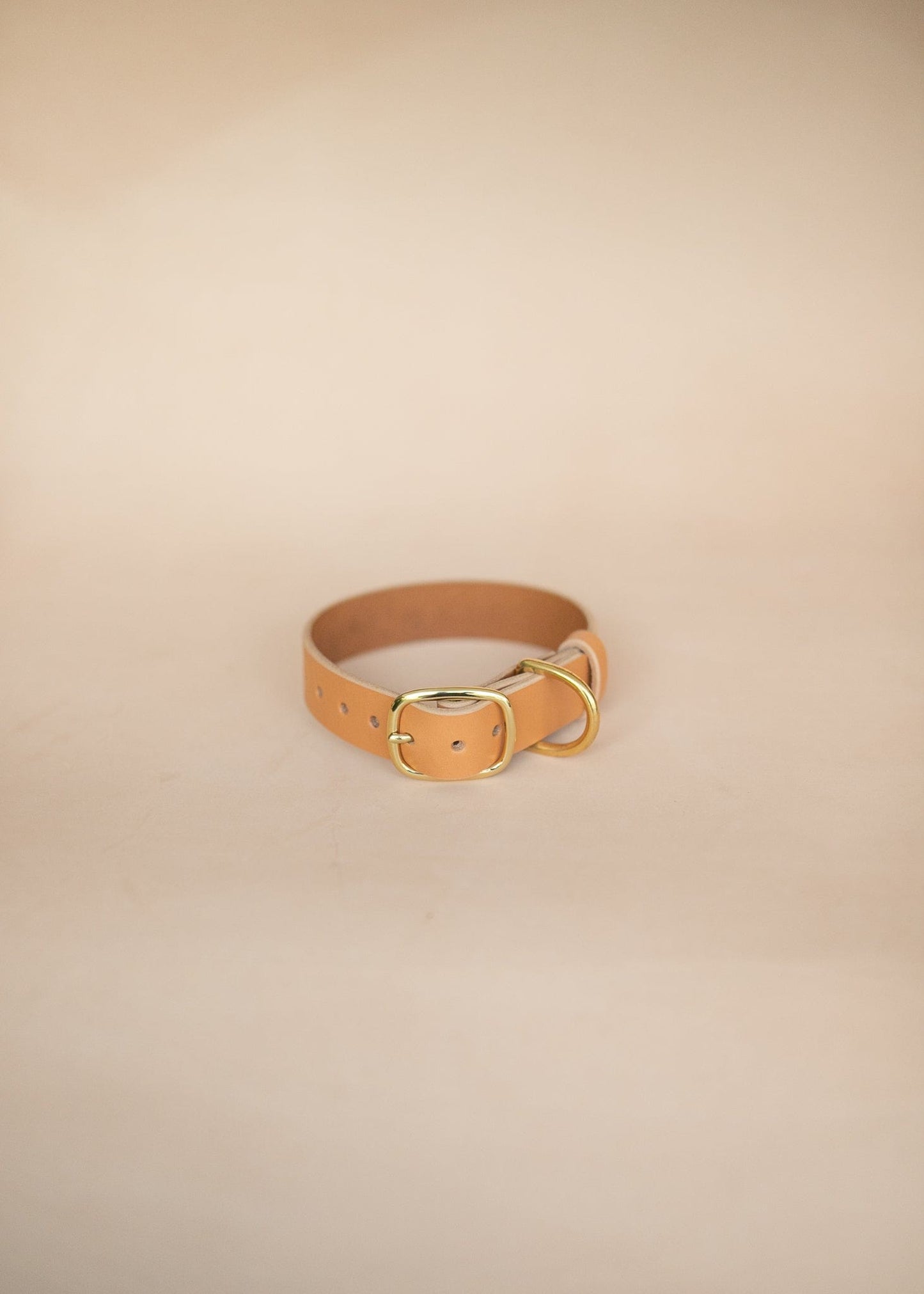 The Real McCaul Leathergoods Pet Collars & Harnesses Classic Dog Collar - 32mm - Natural Australian Made Australian Owned Leather Dog Collar with Brass Fittings- Australian Made