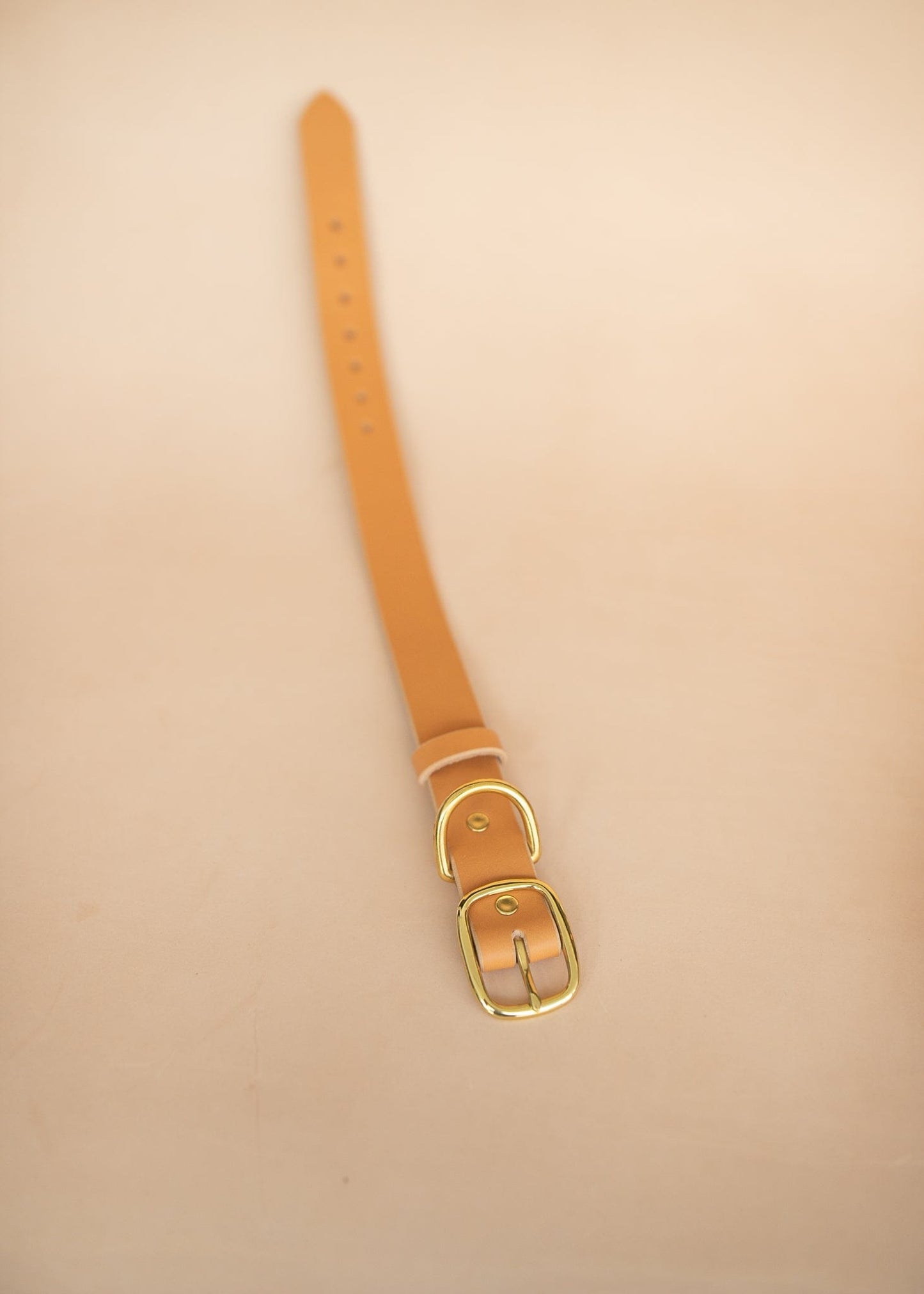 The Real McCaul Leathergoods Pet Collars & Harnesses Classic Dog Collar - 32mm - Natural Australian Made Australian Owned Leather Dog Collar with Brass Fittings- Australian Made