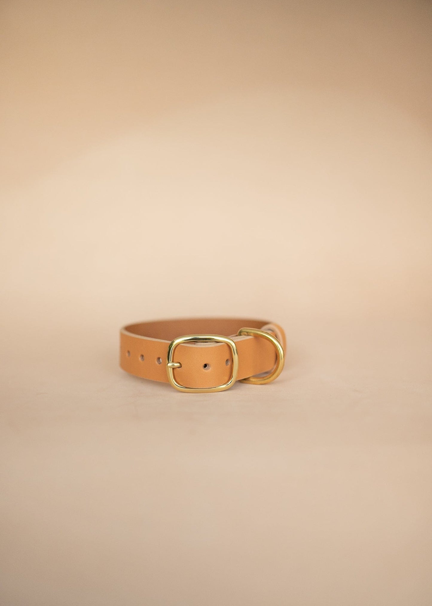 The Real McCaul Leathergoods Pet Collars & Harnesses Classic Dog Collar - 32mm - Natural Australian Made Australian Owned Leather Dog Collar with Brass Fittings- Australian Made