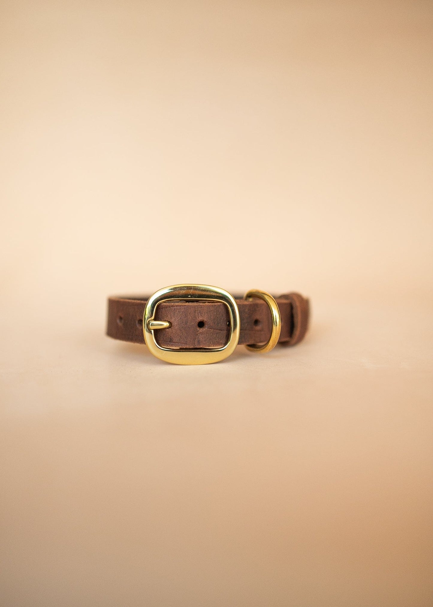 The Real McCaul Leathergoods Pet Collars & Harnesses Dog Collar - Croc Print - 25mm - Vintage Brown Australian Made Australian Owned Leather Dog Collar with Brass Fittings- Australian Made