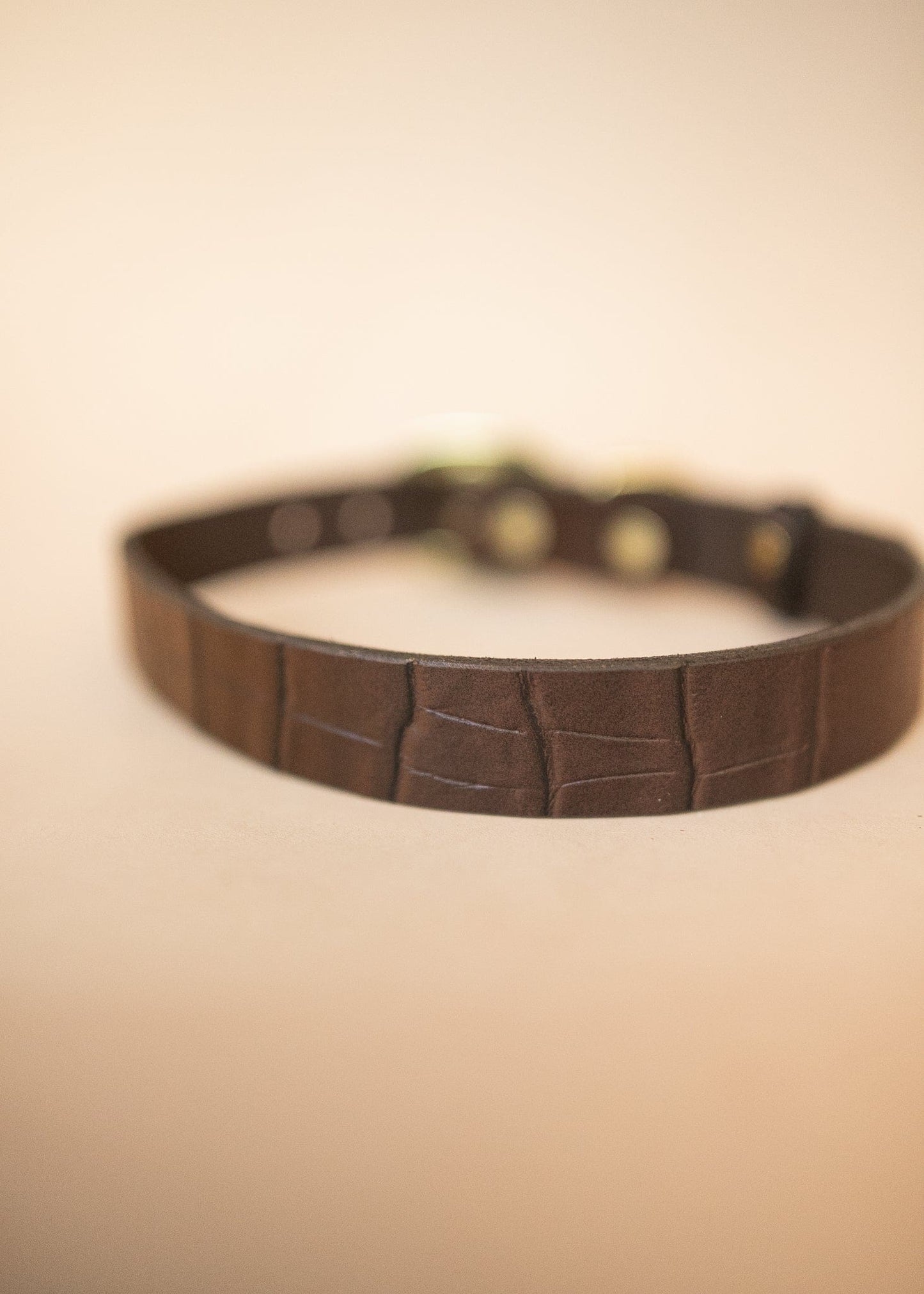 The Real McCaul Leathergoods Pet Collars & Harnesses Embossed Dog Collar - Croc Print - 25mm - Dark Brown Australian Made Australian Owned Leather Dog Collar with Brass Fittings- Australian Made