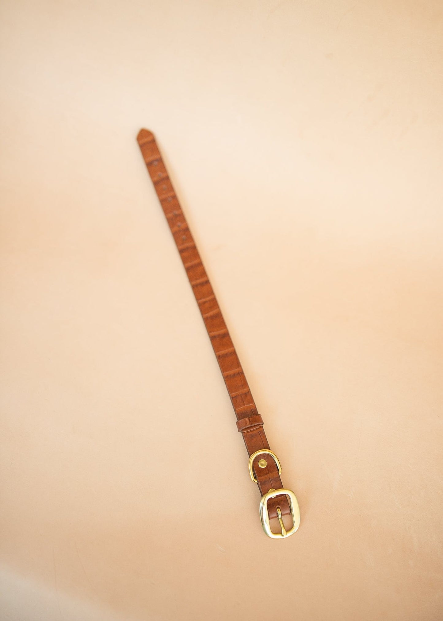 The Real McCaul Leathergoods Pet Collars & Harnesses Embossed Dog Collar - Croc Print - 25mm - Tan Australian Made Australian Owned Leather Dog Collar with Brass Fittings- Australian Made