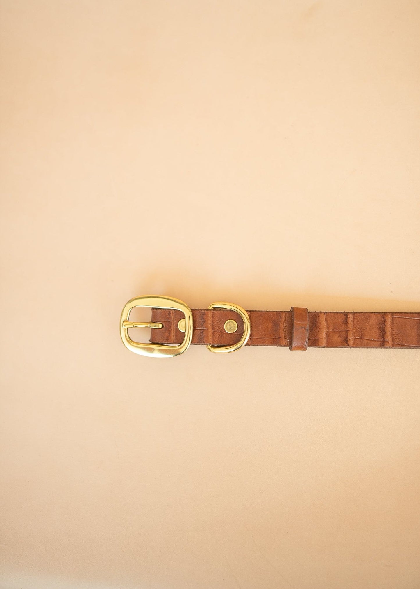 The Real McCaul Leathergoods Pet Collars & Harnesses Embossed Dog Collar - Croc Print - 25mm - Tan Australian Made Australian Owned Leather Dog Collar with Brass Fittings- Australian Made