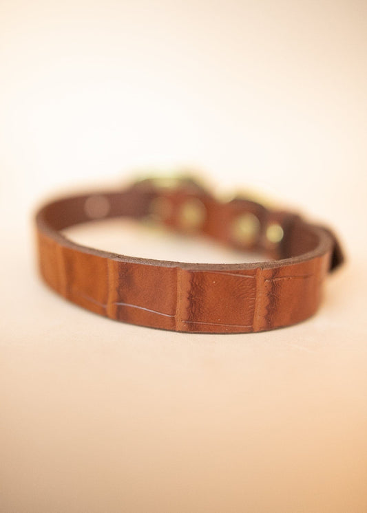 The Real McCaul Leathergoods Pet Collars & Harnesses Embossed Dog Collar - Croc Print - 25mm - Tan Australian Made Australian Owned Leather Dog Collar with Brass Fittings- Australian Made