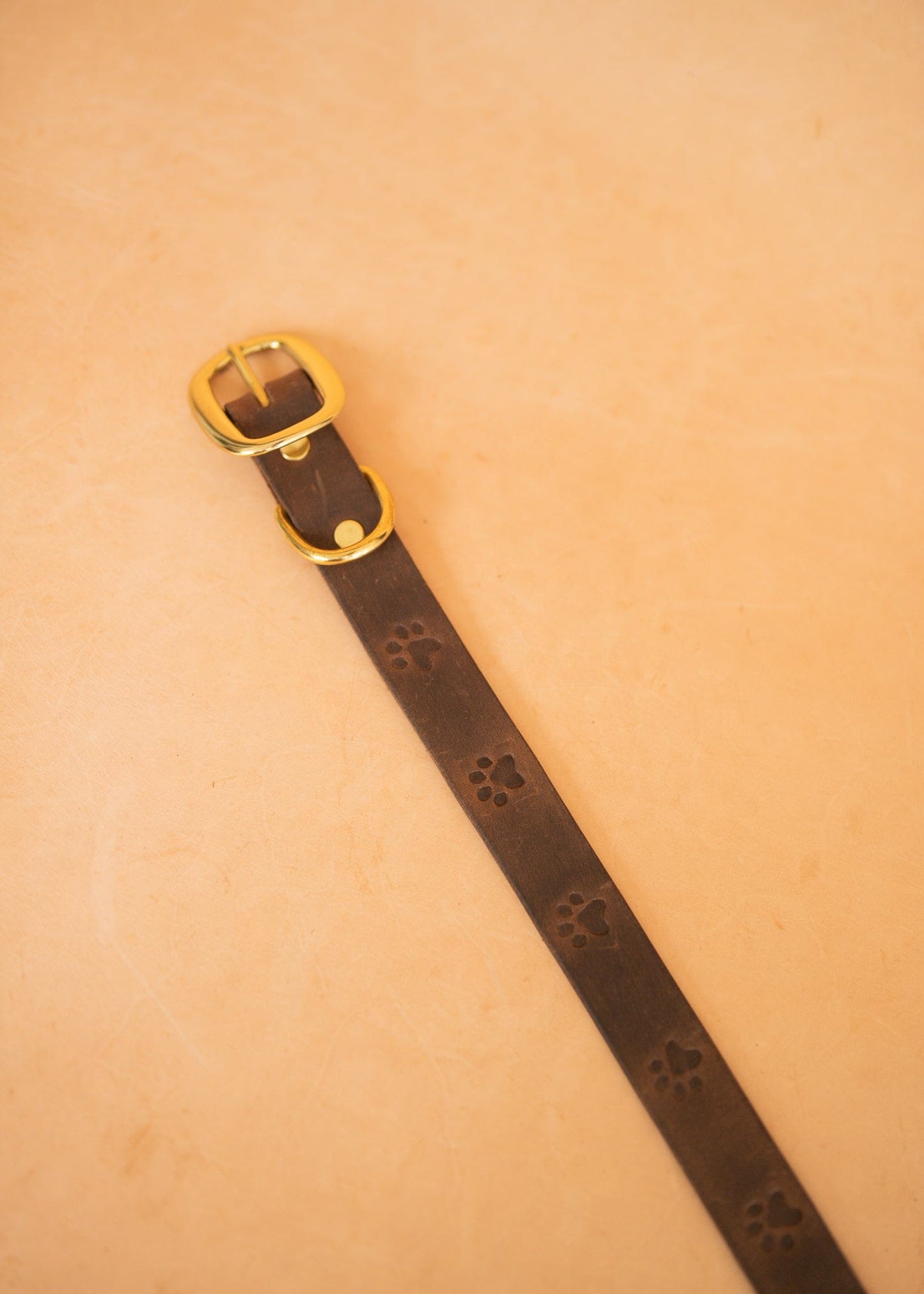 The Real McCaul Leathergoods Pet Collars & Harnesses Printed Paw Dog Collar - 25mm - Rustic Brown Australian Made Australian Owned Leather Dog Collar with Brass Fittings- Australian Made