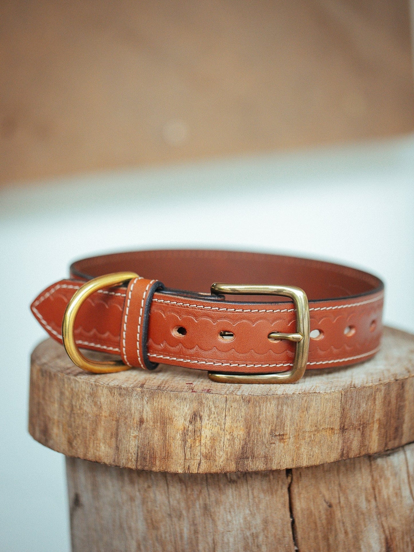 The Real McCaul Leathergoods Medium (40-49cm) / Antique Brass Deluxe Rancher Dog Collar - 38mm - Tan Australian Made Australian Owned Leather Dog Collar with Brass Fittings- Australian Made