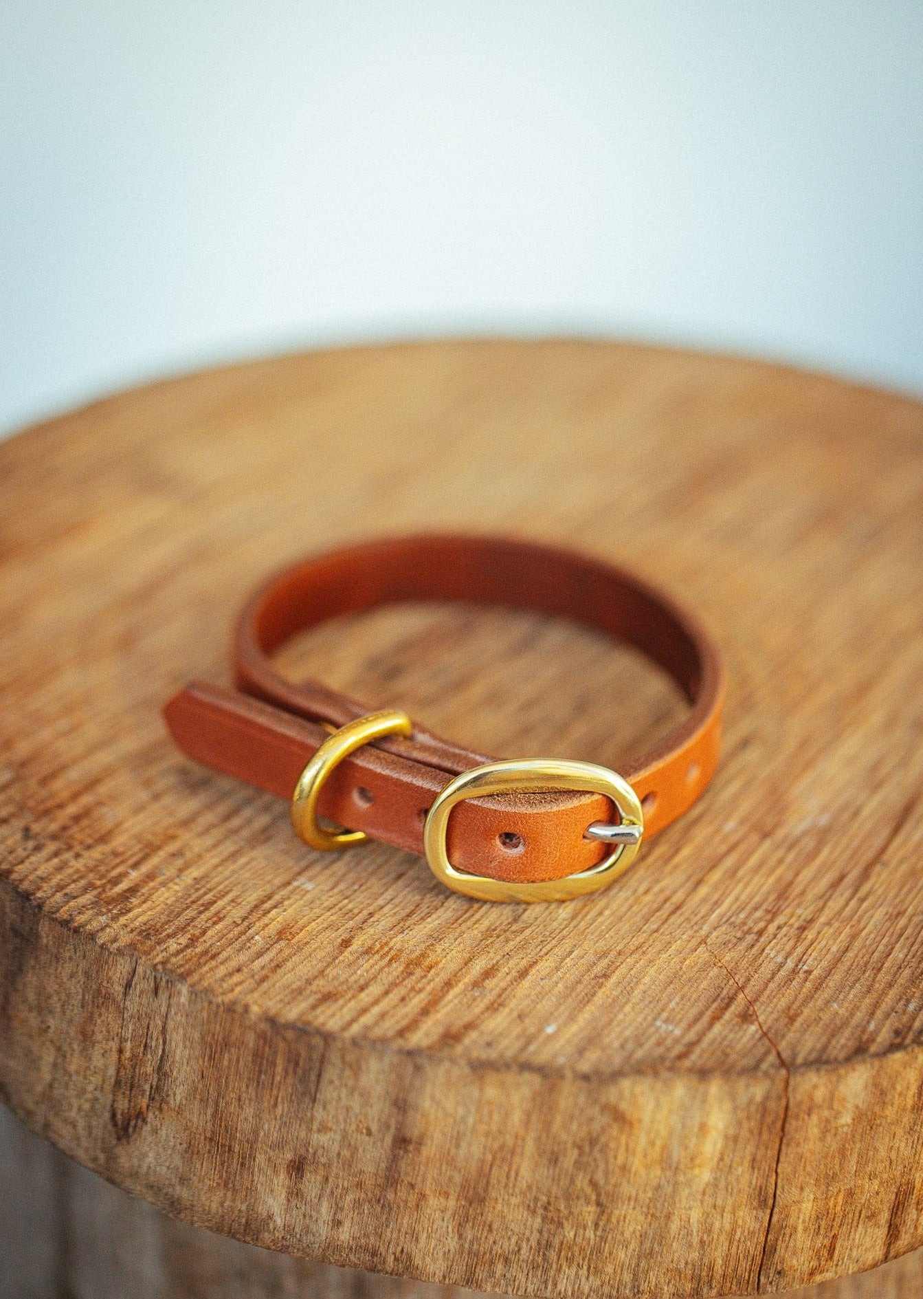 The Real McCaul Leathergoods Pet Collars & Harnesses Classic Dog Collar - 15mm - Tan Australian Made Australian Owned Leather Dog Collar with Brass Fittings- Australian Made