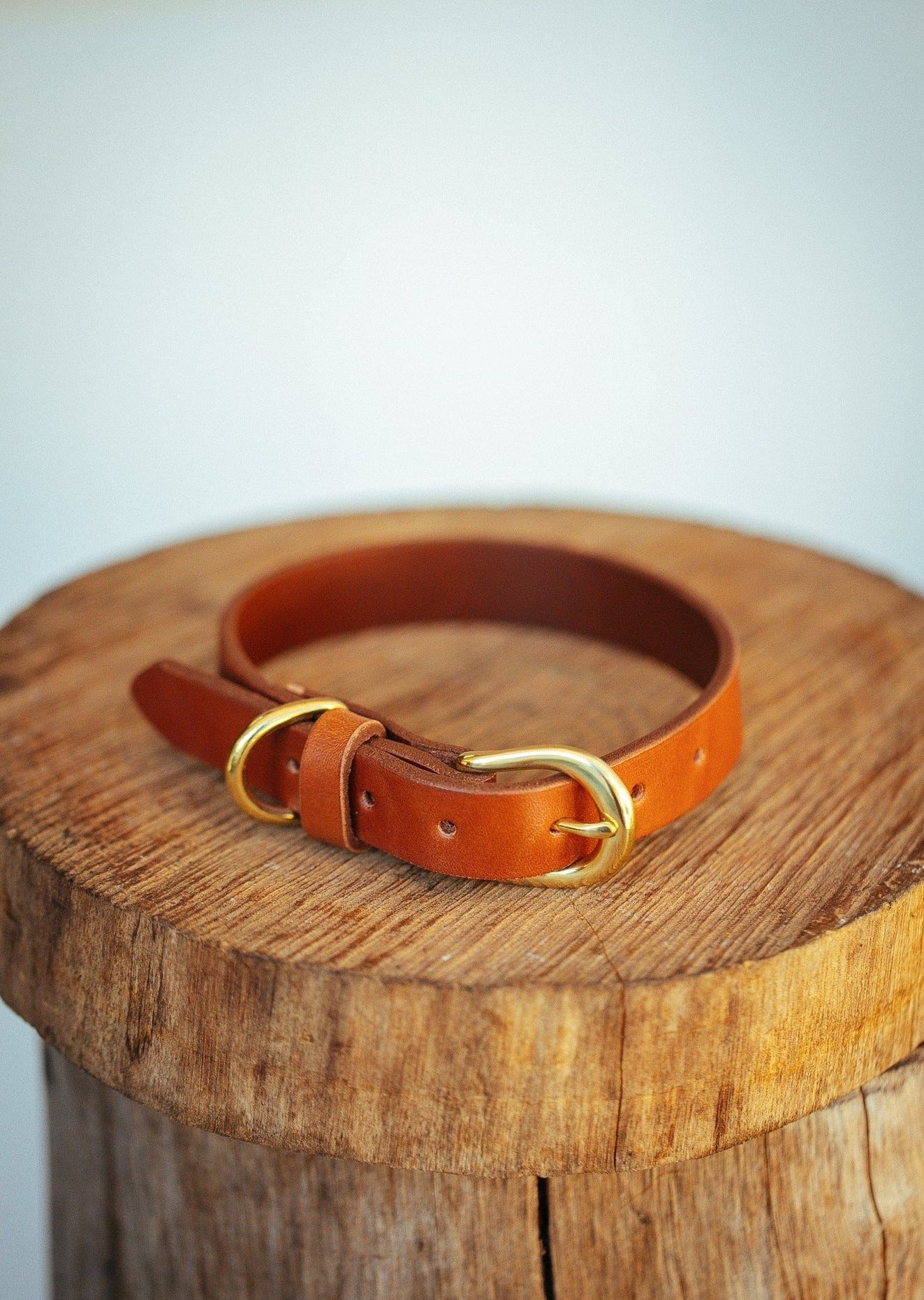 The Real McCaul Leathergoods Pet Collars & Harnesses Classic Dog Collar - 20mm - Tan Australian Made Australian Owned Leather Dog Collar with Brass Fittings- Australian Made