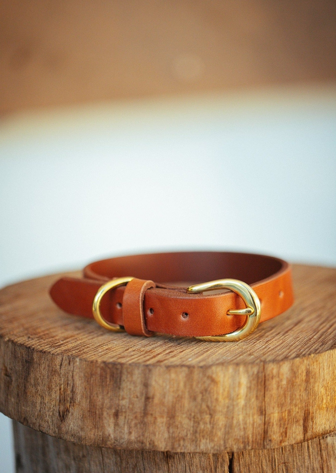 The Real McCaul Leathergoods Pet Collars & Harnesses Classic Dog Collar - 20mm - Tan Australian Made Australian Owned Leather Dog Collar with Brass Fittings- Australian Made