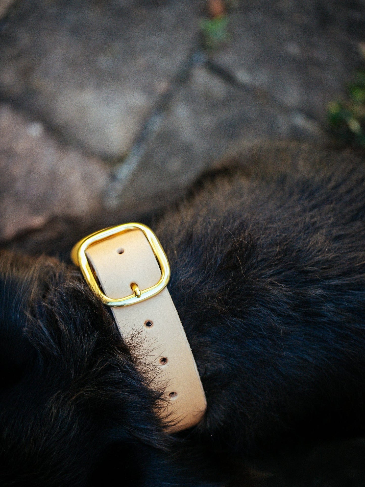 The Real McCaul Leathergoods Pet Collars & Harnesses Classic Dog Collar - 38mm - Natural Australian Made Australian Owned Leather Dog Collar with Brass Fittings- Australian Made