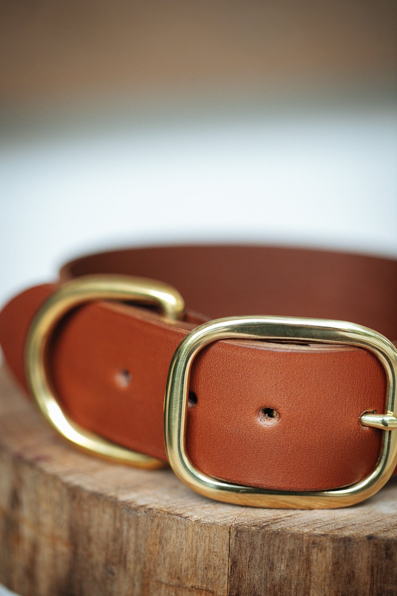 The Real McCaul Leathergoods Pet Collars & Harnesses Classic Dog Collar - 38mm - Tan Australian Made Australian Owned Leather Dog Collar with Brass Fittings- Australian Made