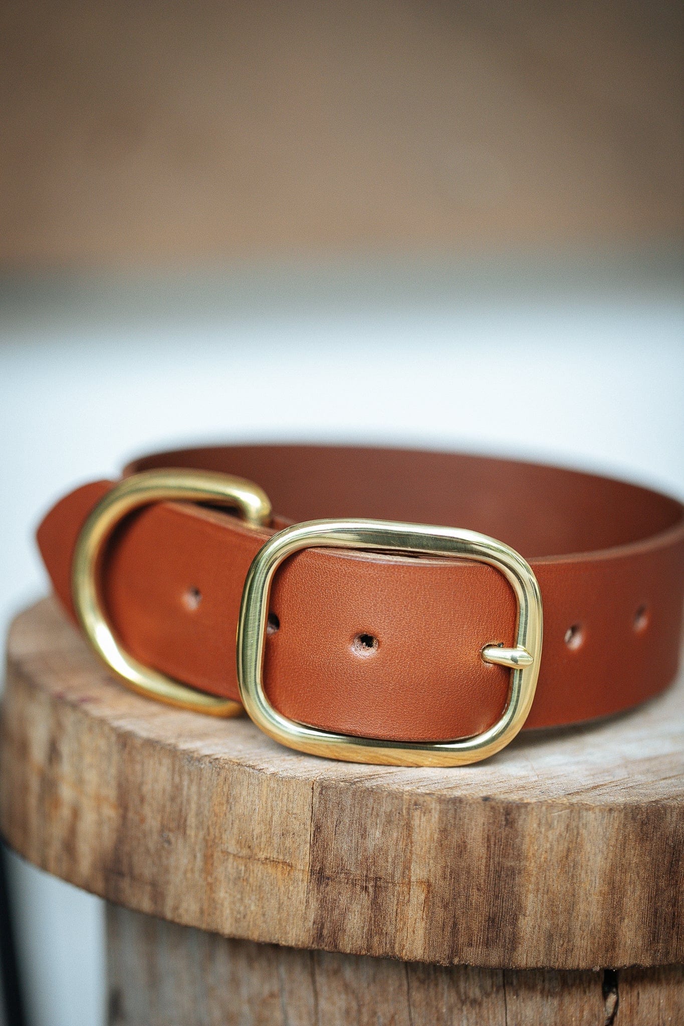 The Real McCaul Leathergoods Pet Collars & Harnesses Classic Dog Collar - 38mm - Tan Australian Made Australian Owned Leather Dog Collar with Brass Fittings- Australian Made