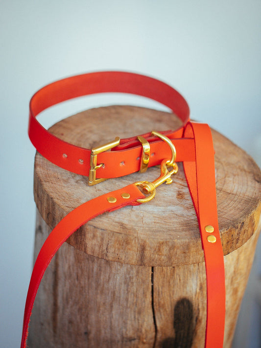 The Real McCaul Leathergoods Pet Collars & Harnesses Dog Collar & Leash Set - 30mm Wide - Red Australian Made Australian Owned Leather Dog Collar and Lead with Brass Fittings- Australian Made