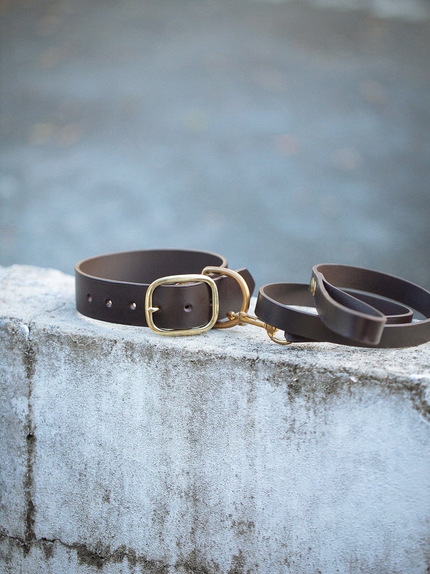 The Real McCaul Leathergoods Pet Collars & Harnesses Dog Collar & Leash Set - 38mm Wide - Dark Brown Australian Made Australian Owned Leather Dog Collar and Lead with Brass Fittings- Australian Made