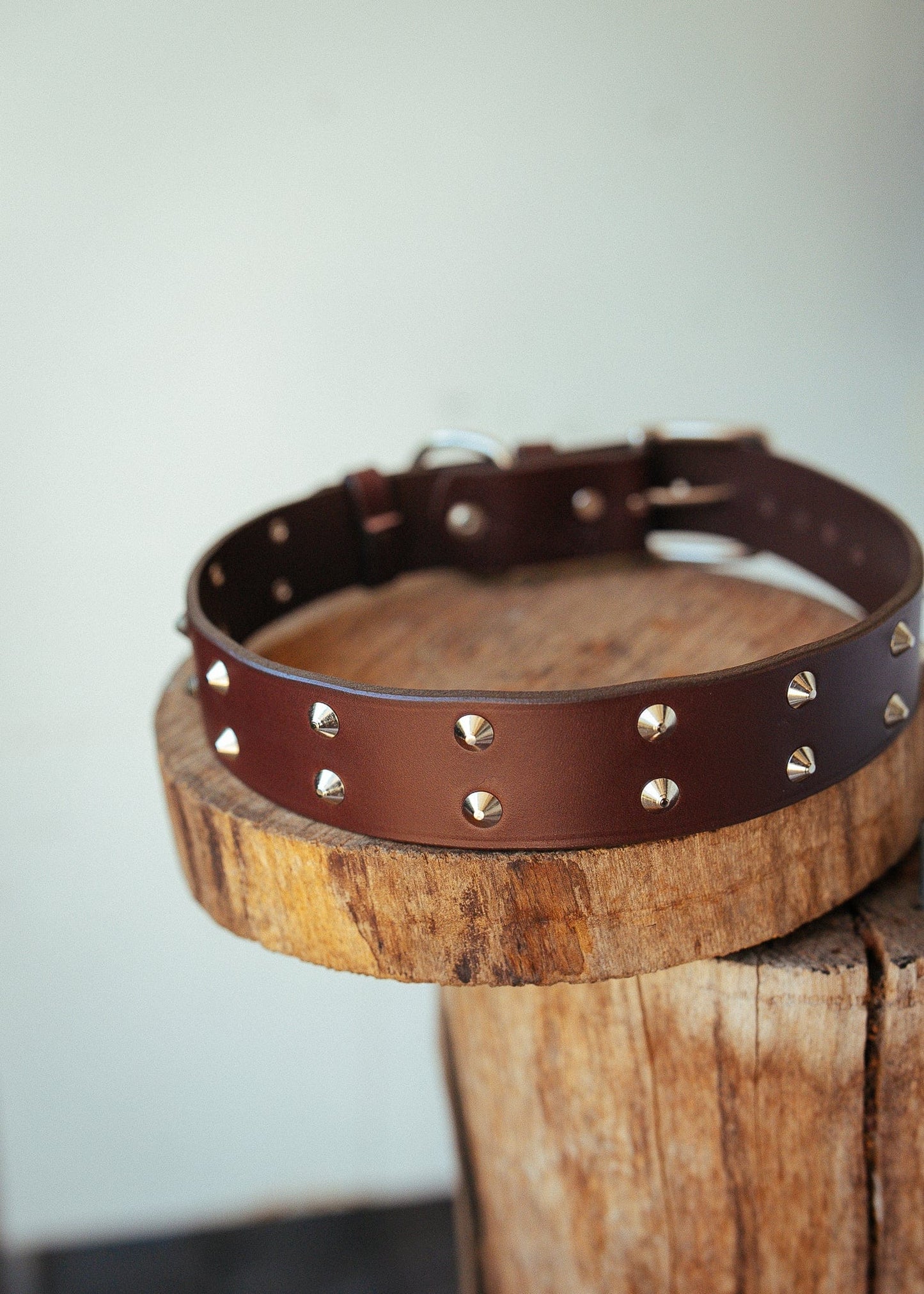 The Real McCaul Leathergoods Pet Collars & Harnesses Double Studded Dog Collar - 38mm - Cognac Australian Made Australian Owned Leather Dog Collar with Brass Fittings- Australian Made