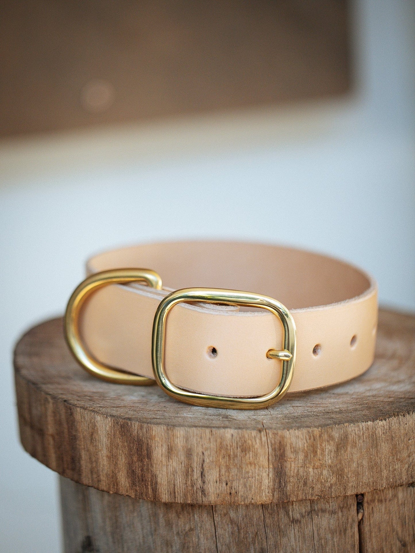 The Real McCaul Leathergoods Pet Collars & Harnesses Medium (40-49cm) / Gold Classic Dog Collar - 38mm - Natural Australian Made Australian Owned Leather Dog Collar with Brass Fittings- Australian Made
