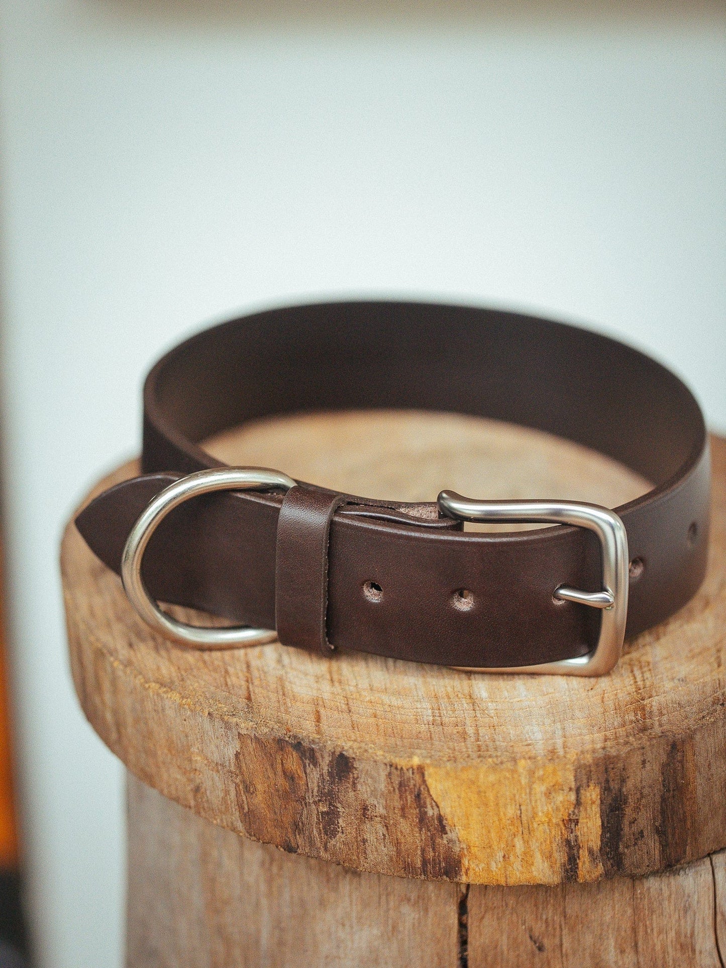 The Real McCaul Leathergoods Pet Collars & Harnesses Medium (40-49cm) / Silver Classic Dog Collar - 38mm - Dark Brown Australian Made Australian Owned Leather Dog Collar with Brass Fittings- Australian Made