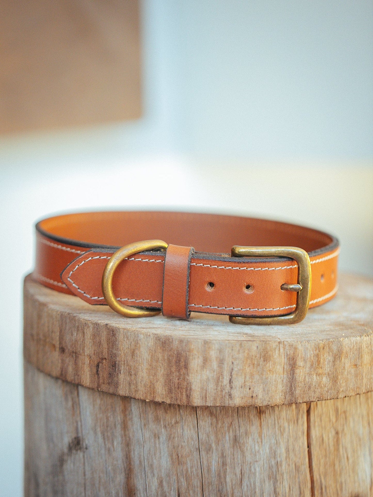 The Real McCaul Leathergoods Pet Collars & Harnesses Small (30-39cm) / Antique Brass Rancher Dog Collar - 32mm - Tan Australian Made Australian Owned Leather Dog Collar with Brass Fittings- Australian Made