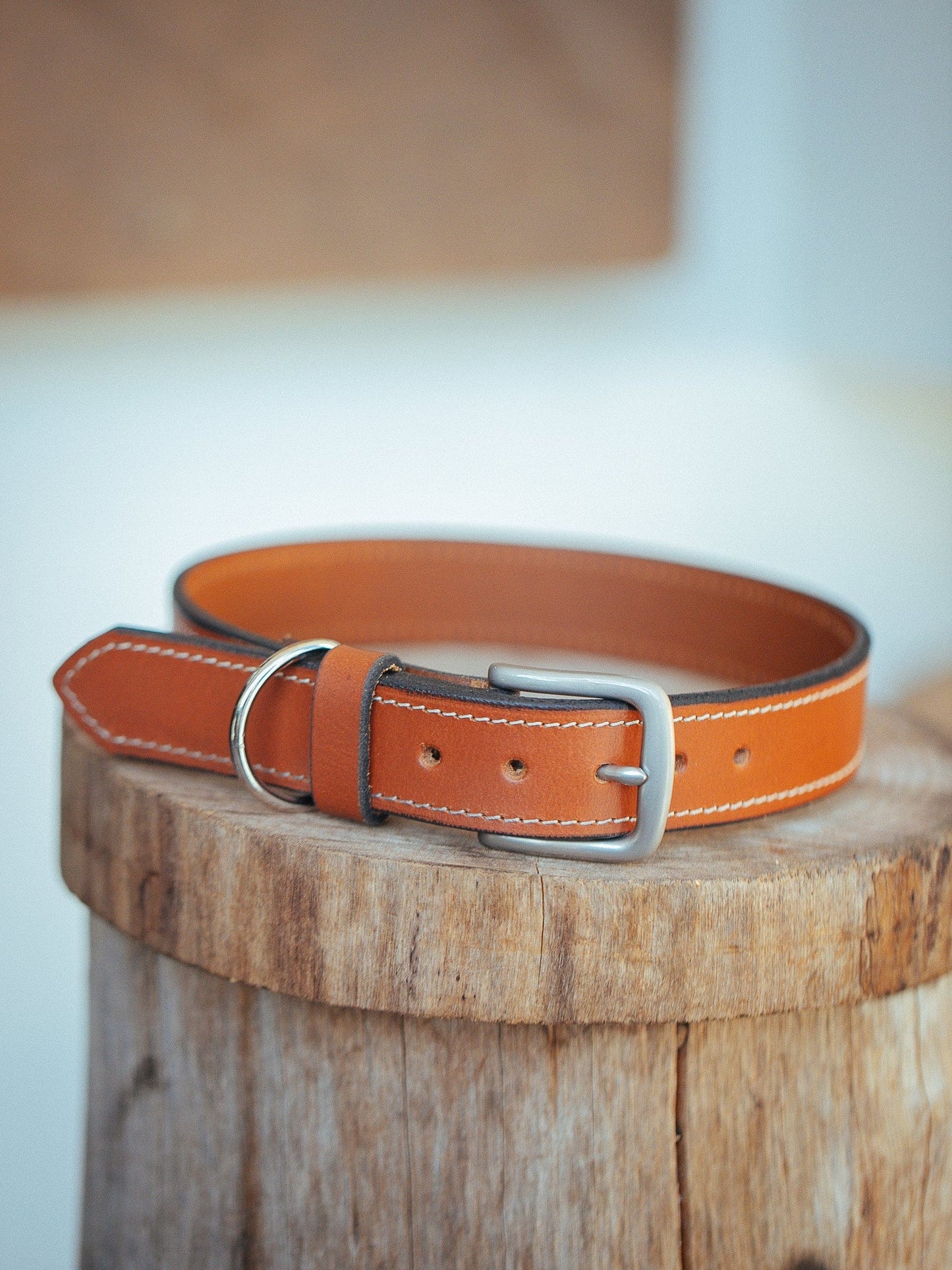 The Real McCaul Leathergoods Pet Collars & Harnesses Small (30-39cm) / Silver Rancher Dog Collar - 32mm - Tan Australian Made Australian Owned Leather Dog Collar with Brass Fittings- Australian Made