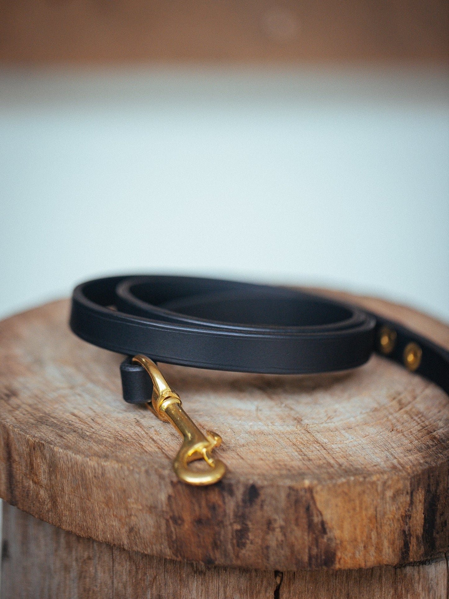 The Real McCaul Leathergoods Pet Leashes Narrow Dog Leash - Black Australian Made Australian Owned Leather Dog Lead or Leash - HandMade In Australia- Brass Fittings