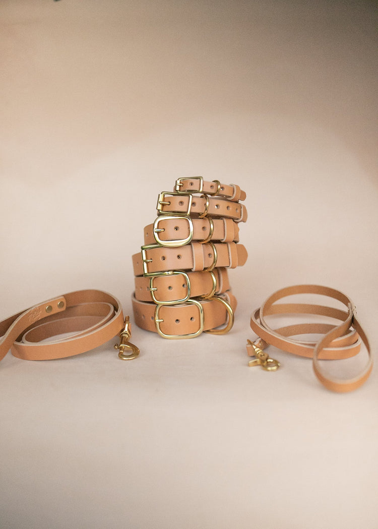 Handmade Leather Dog Collars & Leads- Australian Made – tagged Crocodile  – The Real McCaul Leathergoods