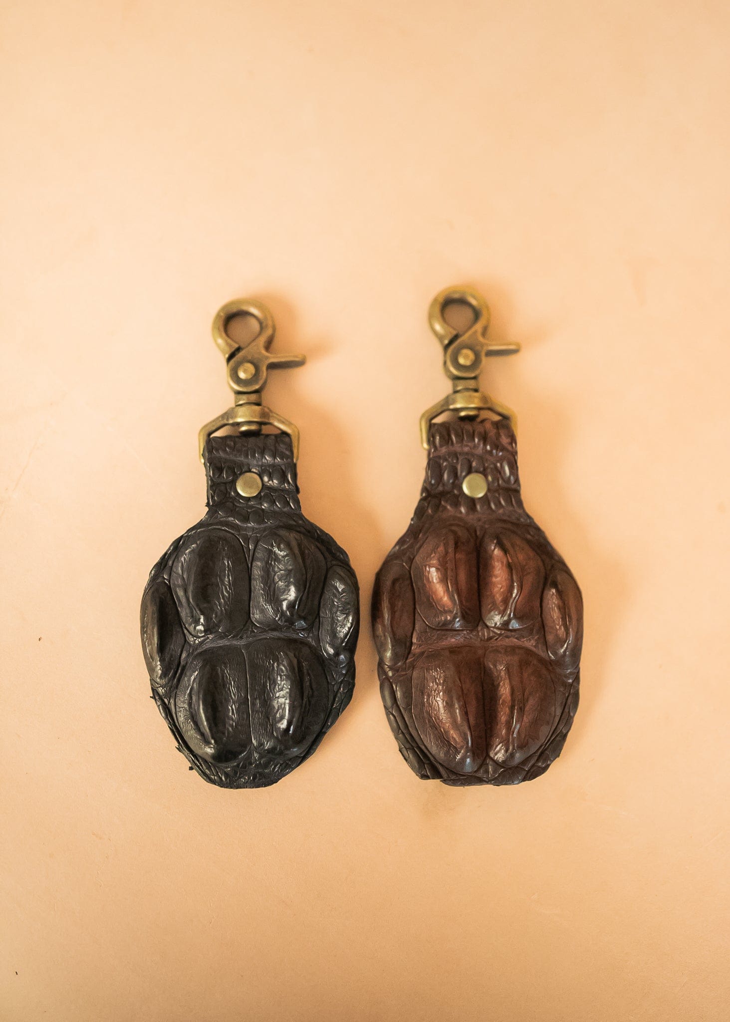 Crocodile Collection