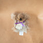 The Real McCaul Leathergoods Cuddles Koala Stuffed Toy Souvenir Australian Made Australian Owned