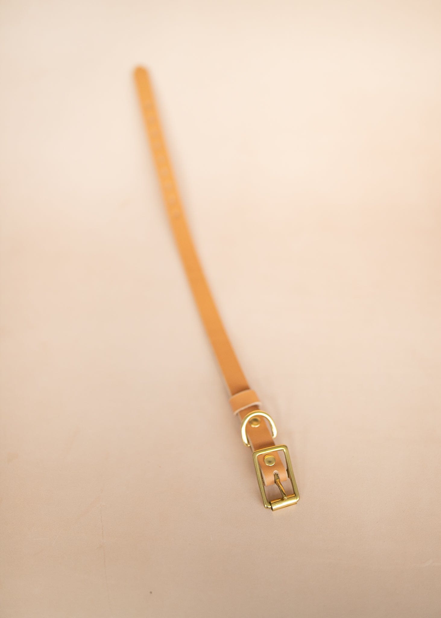 The Real McCaul Leathergoods Pet Collars & Harnesses Classic Dog Collar - 12mm - Natural Australian Made Australian Owned Leather Dog Collar with Brass Fittings- Australian Made