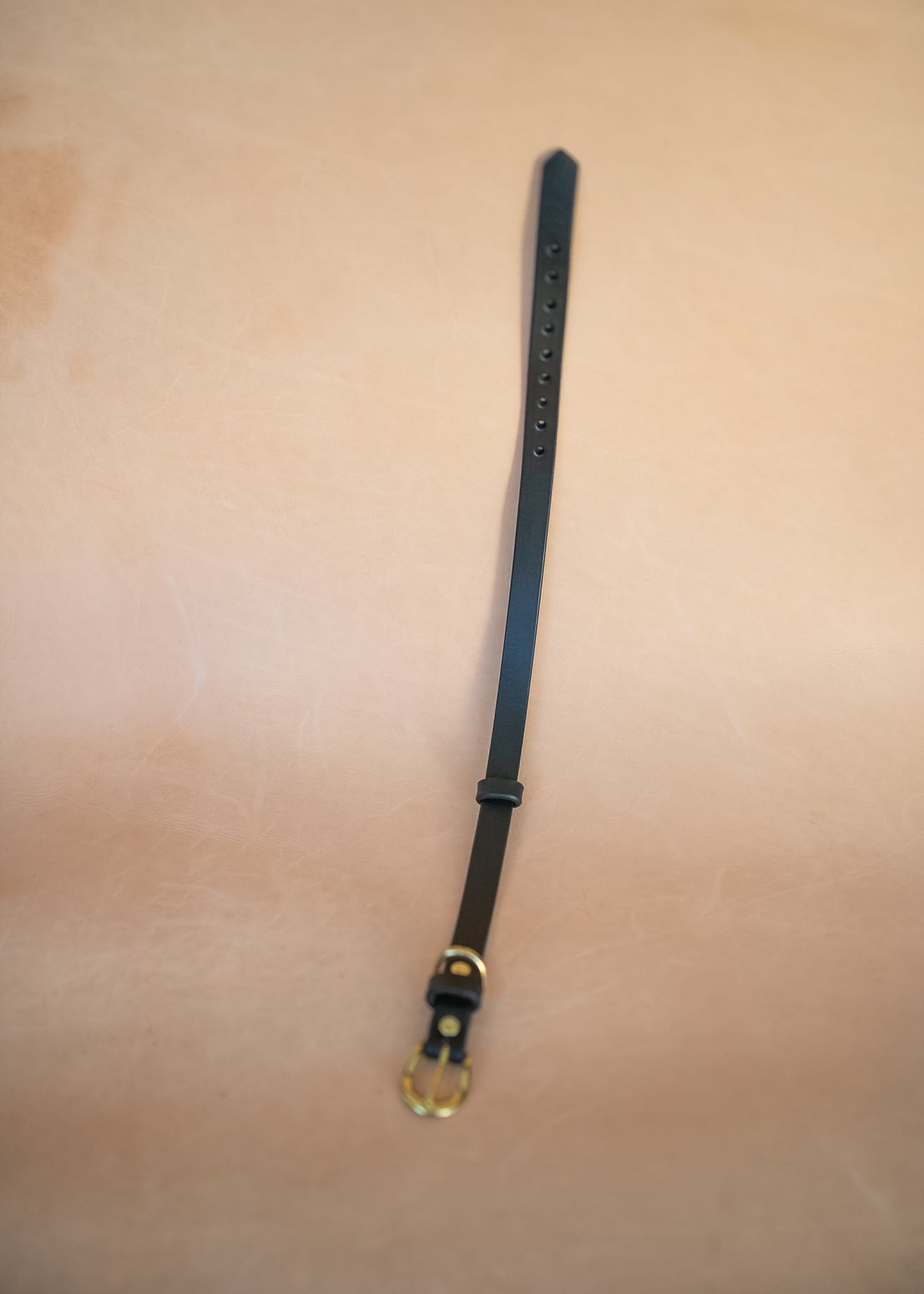 The Real McCaul Leathergoods Pet Collars & Harnesses Classic Dog Collar - 18mm - Black Australian Made Australian Owned Leather Dog Collar with Brass Fittings- Australian Made