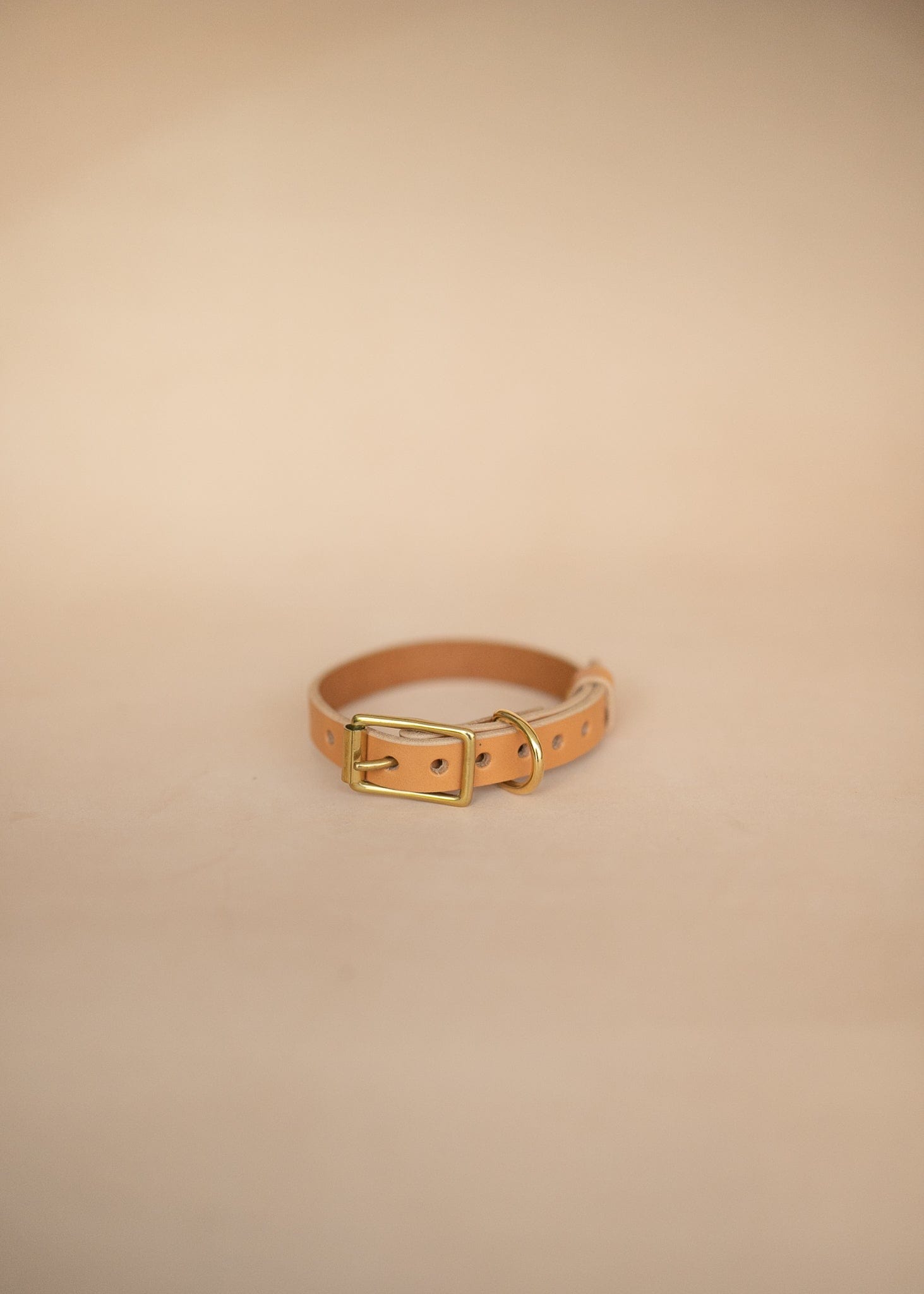 The Real McCaul Leathergoods Pet Collars & Harnesses Classic Dog Collar - 20mm - Natural Australian Made Australian Owned Leather Dog Collar with Brass Fittings- Australian Made