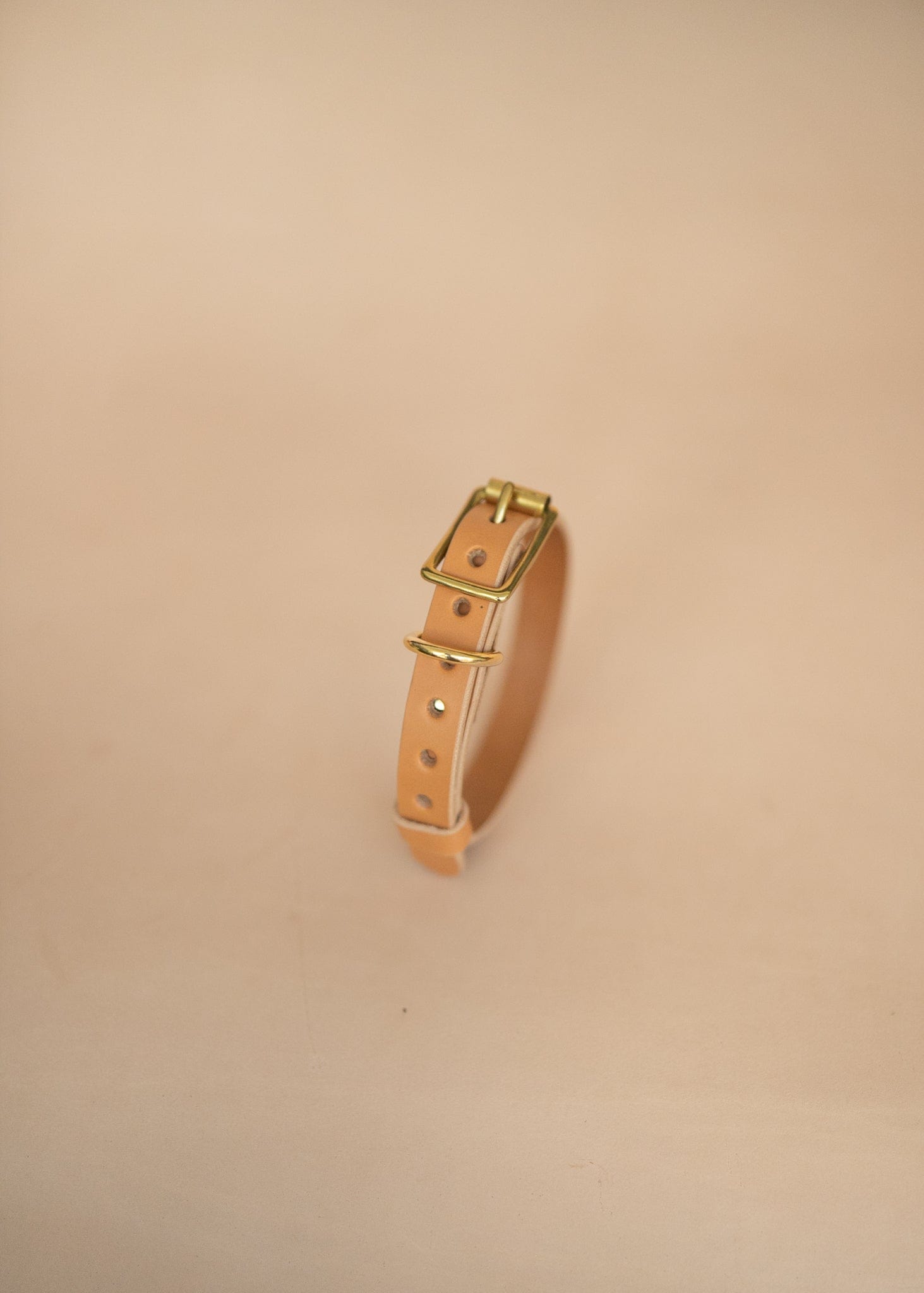 The Real McCaul Leathergoods Pet Collars & Harnesses Classic Dog Collar - 20mm - Natural Australian Made Australian Owned Leather Dog Collar with Brass Fittings- Australian Made