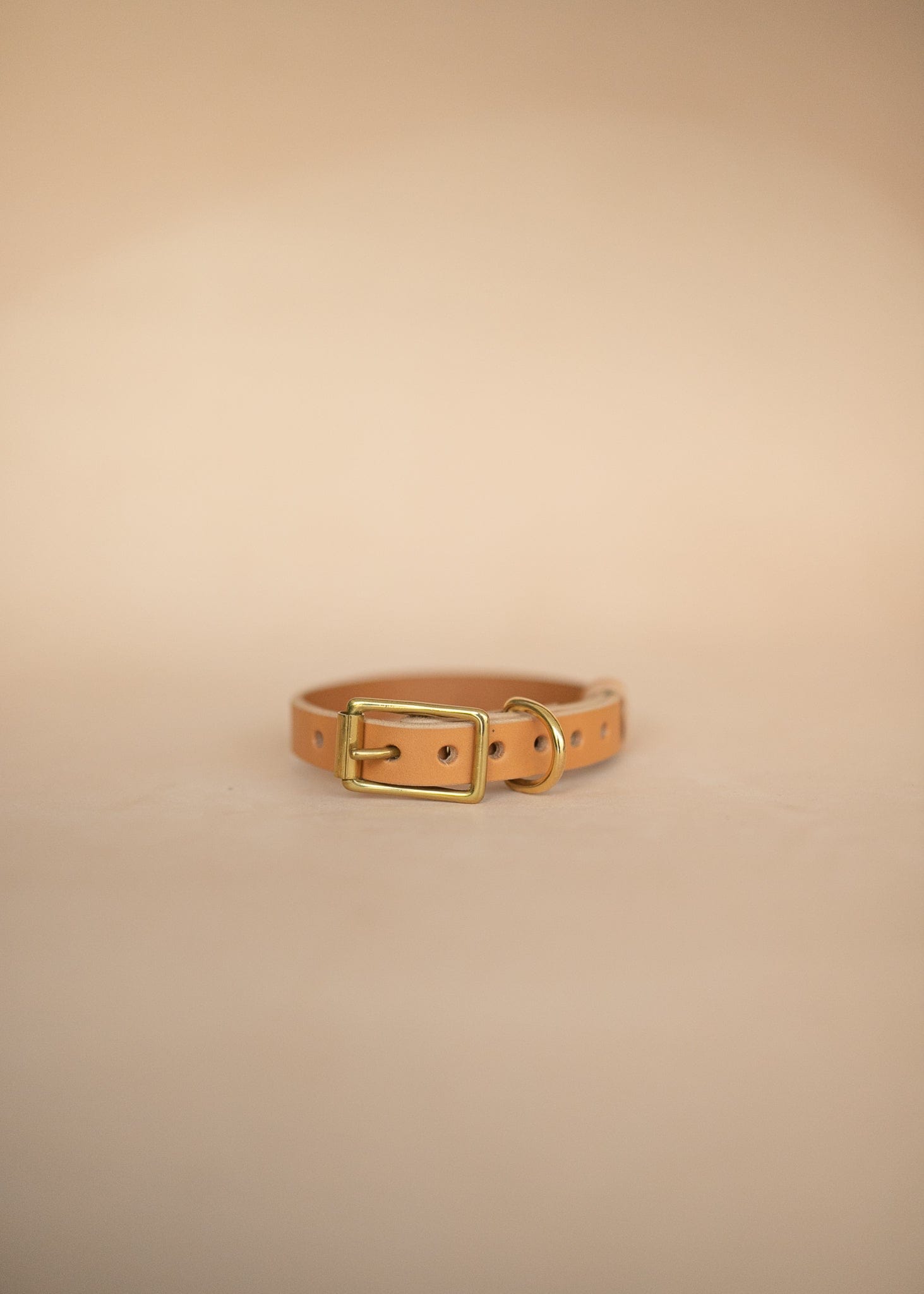 The Real McCaul Leathergoods Pet Collars & Harnesses Classic Dog Collar - 20mm - Natural Australian Made Australian Owned Leather Dog Collar with Brass Fittings- Australian Made
