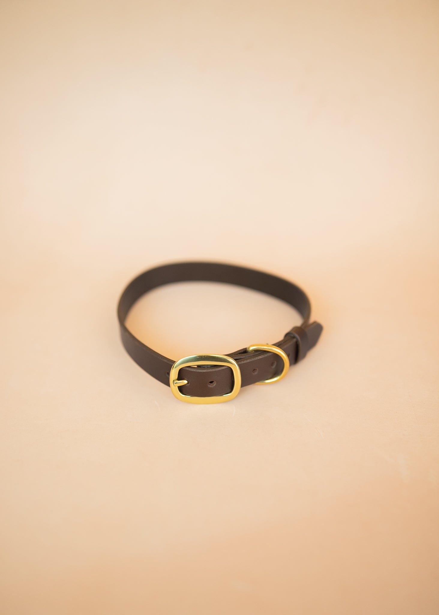 The Real McCaul Leathergoods Pet Collars & Harnesses Classic Dog Collar - 25mm - Dark Brown Australian Made Australian Owned Leather Dog Collar with Brass Fittings- Australian Made