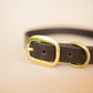 The Real McCaul Leathergoods Pet Collars & Harnesses Classic Dog Collar - 25mm - Dark Brown Australian Made Australian Owned Leather Dog Collar with Brass Fittings- Australian Made