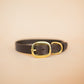 The Real McCaul Leathergoods Pet Collars & Harnesses Classic Dog Collar - 25mm - Dark Brown Australian Made Australian Owned Leather Dog Collar with Brass Fittings- Australian Made