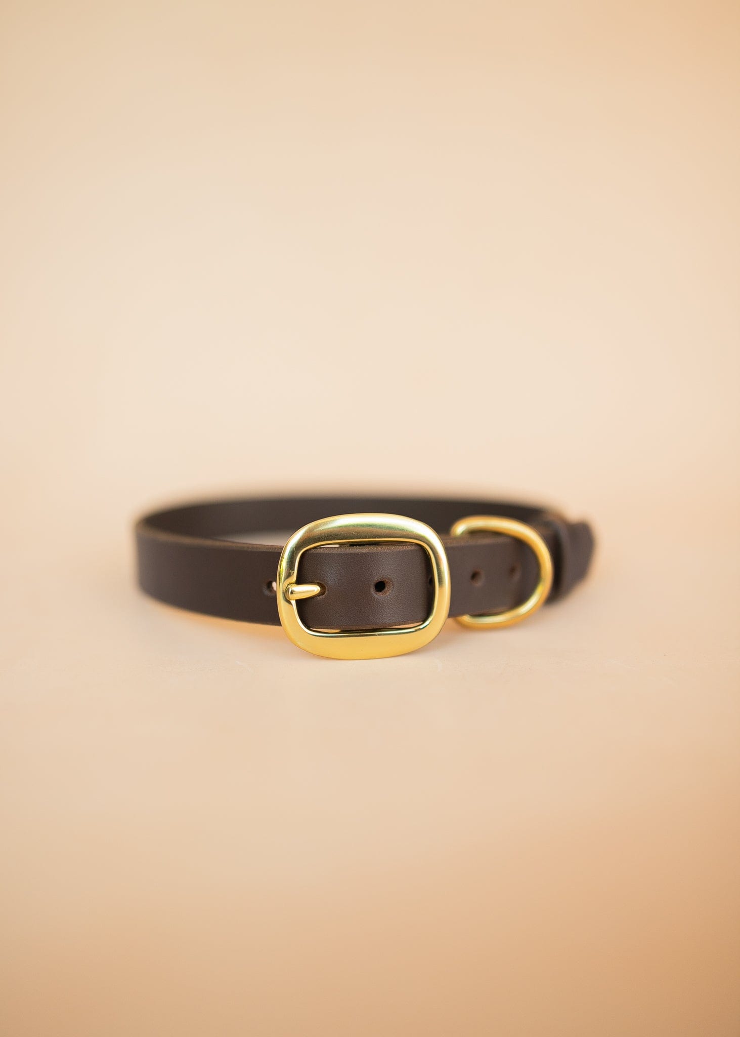 The Real McCaul Leathergoods Pet Collars & Harnesses Classic Dog Collar - 25mm - Dark Brown Australian Made Australian Owned Leather Dog Collar with Brass Fittings- Australian Made
