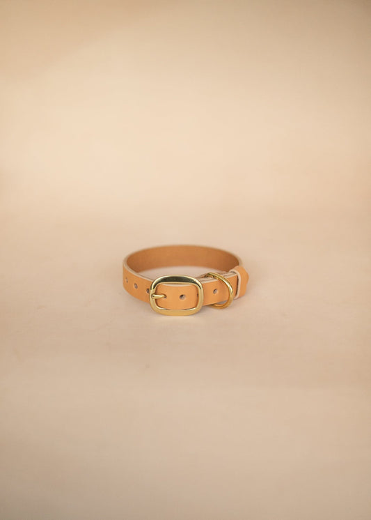 The Real McCaul Leathergoods Pet Collars & Harnesses Classic Dog Collar - 25mm - Natural Australian Made Australian Owned Leather Dog Collar with Brass Fittings- Australian Made