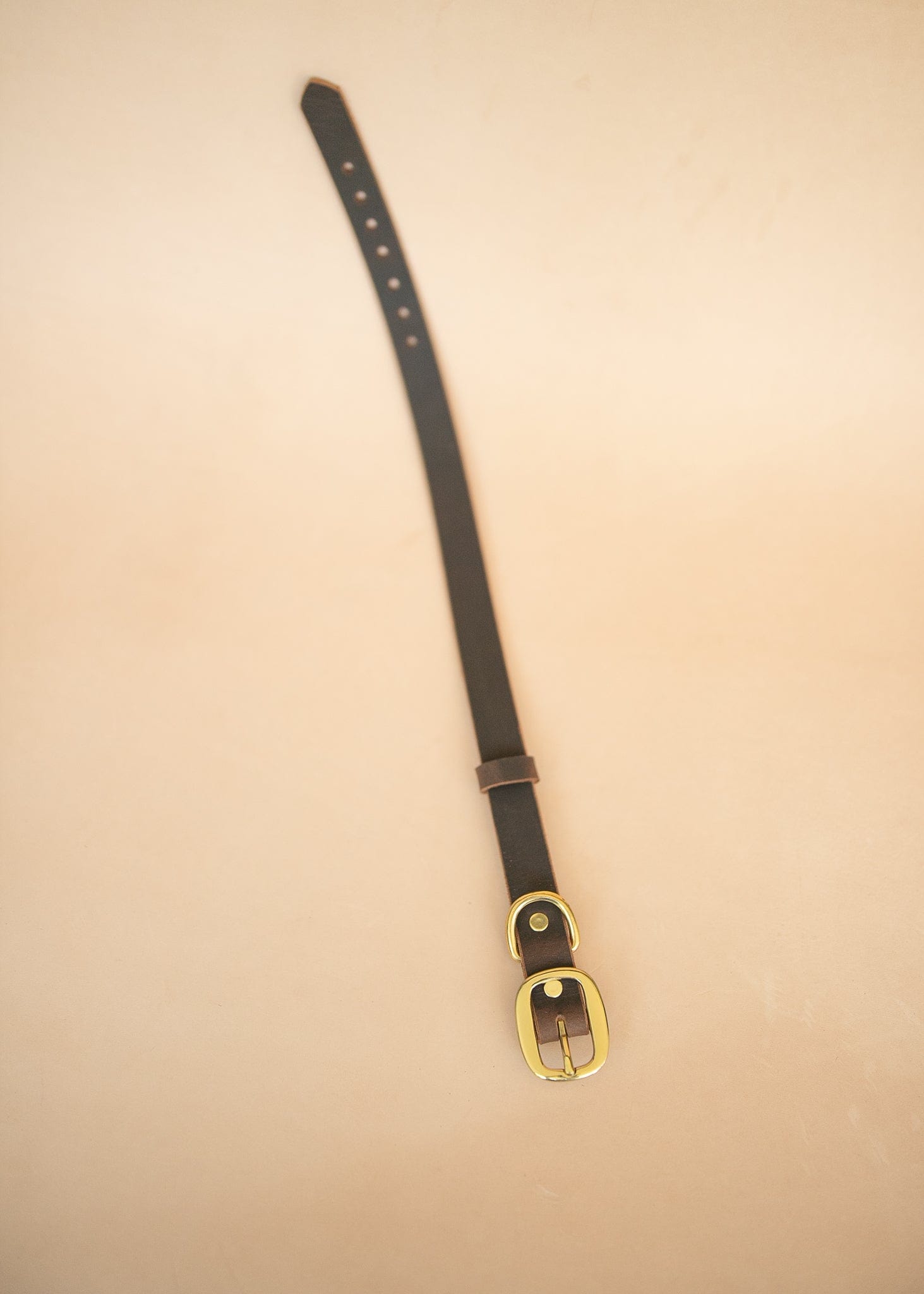 The Real McCaul Leathergoods Pet Collars & Harnesses Classic Dog Collar - 25mm - Vintage Rustic Brown Australian Made Australian Owned Leather Dog Collar with Brass Fittings- Australian Made
