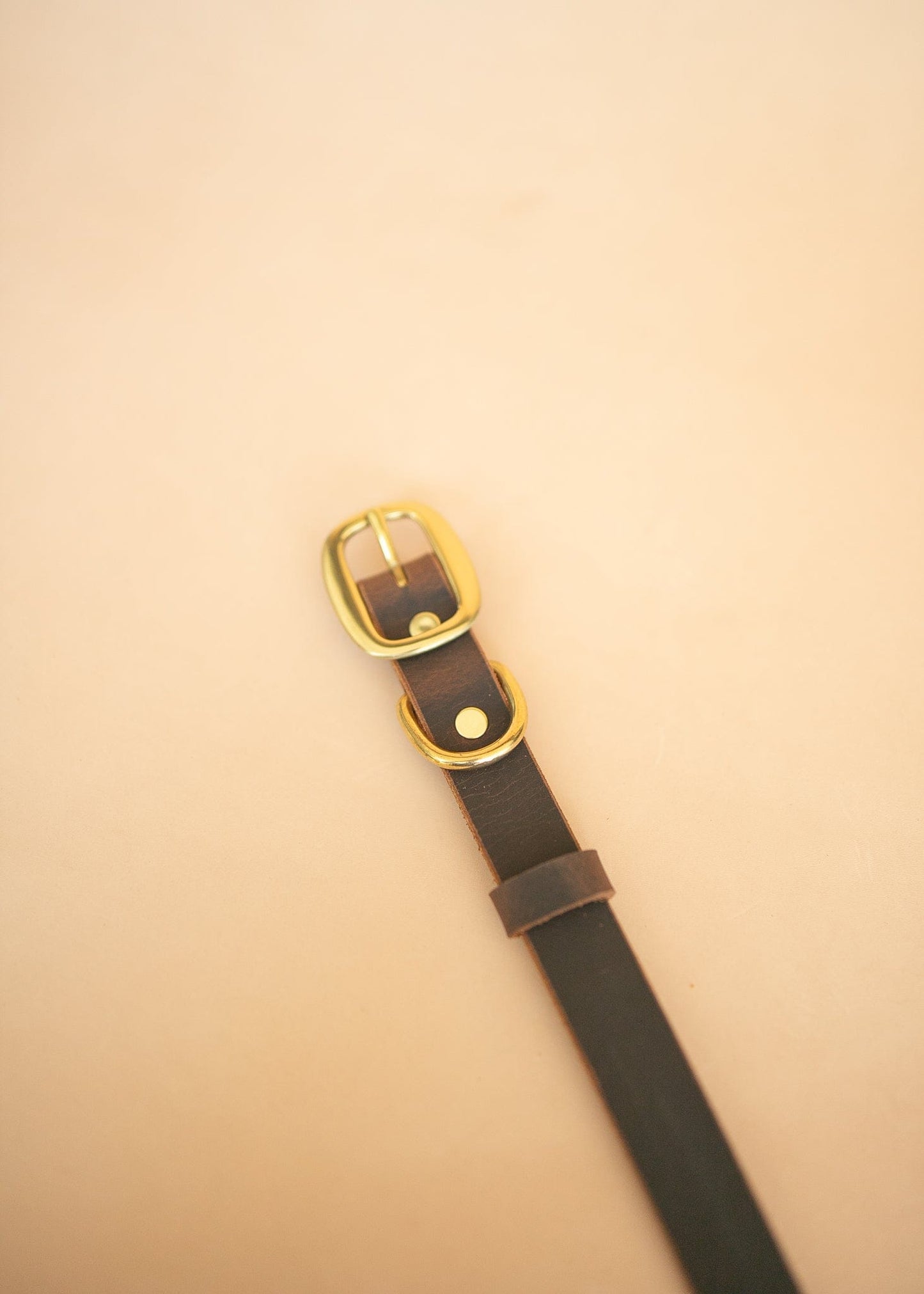 The Real McCaul Leathergoods Pet Collars & Harnesses Classic Dog Collar - 25mm - Vintage Rustic Brown Australian Made Australian Owned Leather Dog Collar with Brass Fittings- Australian Made
