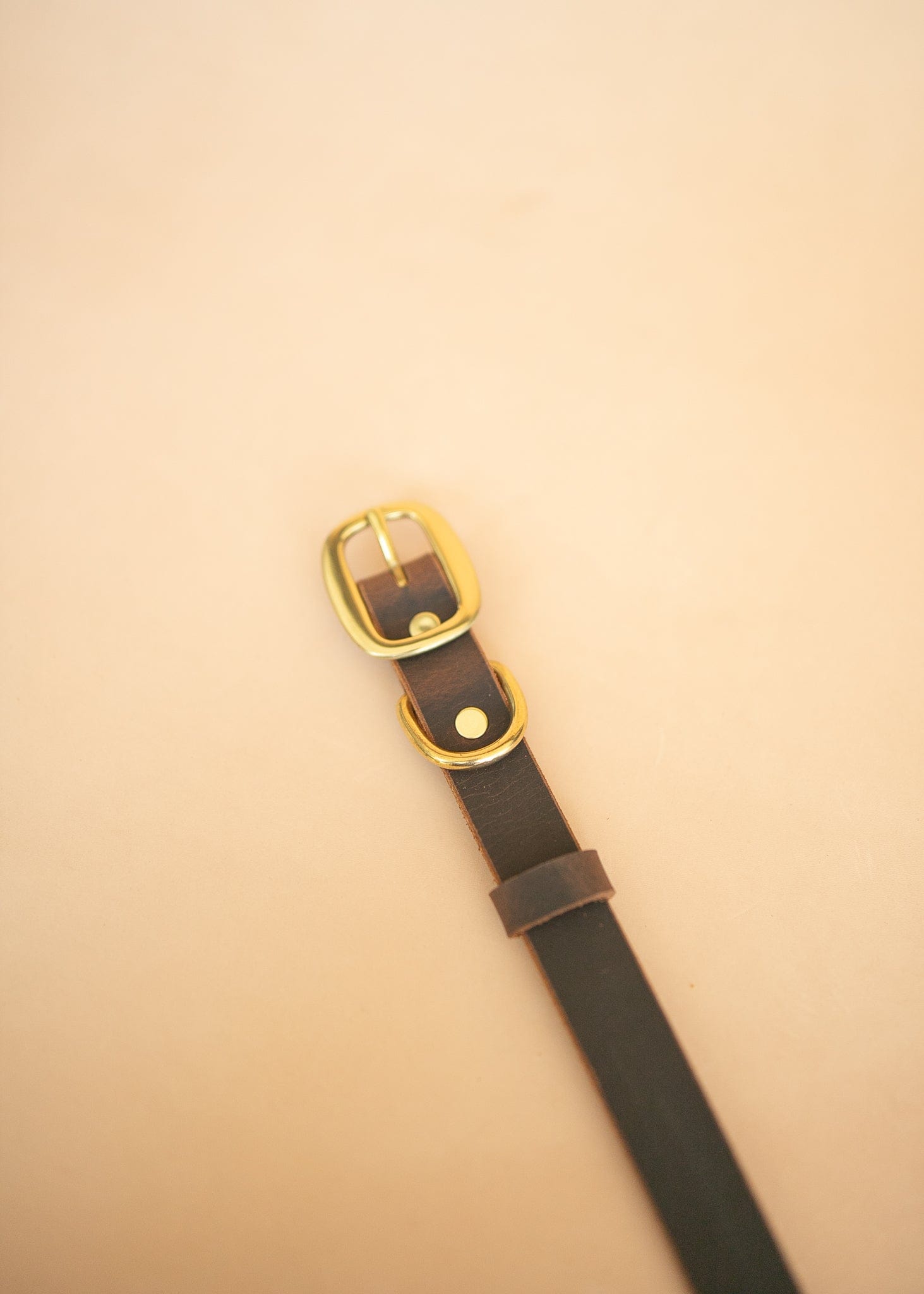 The Real McCaul Leathergoods Pet Collars & Harnesses Classic Dog Collar - 25mm - Vintage Rustic Brown Australian Made Australian Owned Leather Dog Collar with Brass Fittings- Australian Made