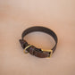 The Real McCaul Leathergoods Pet Collars & Harnesses Classic Dog Collar - 30mm - Burgundy Australian Made Australian Owned Leather Dog Collar with Brass Fittings- Australian Made